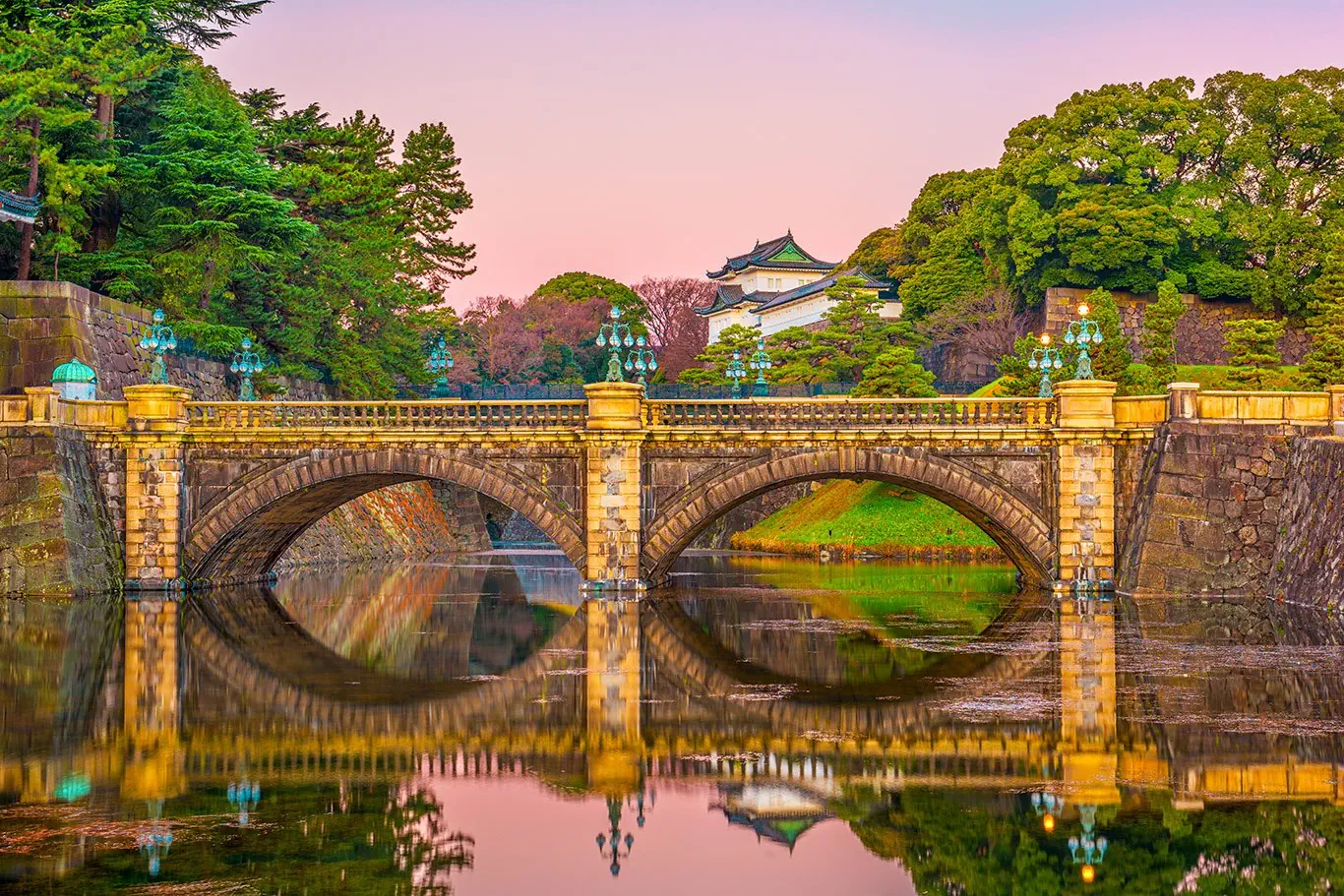 Japonia - kwitnąca Sakura