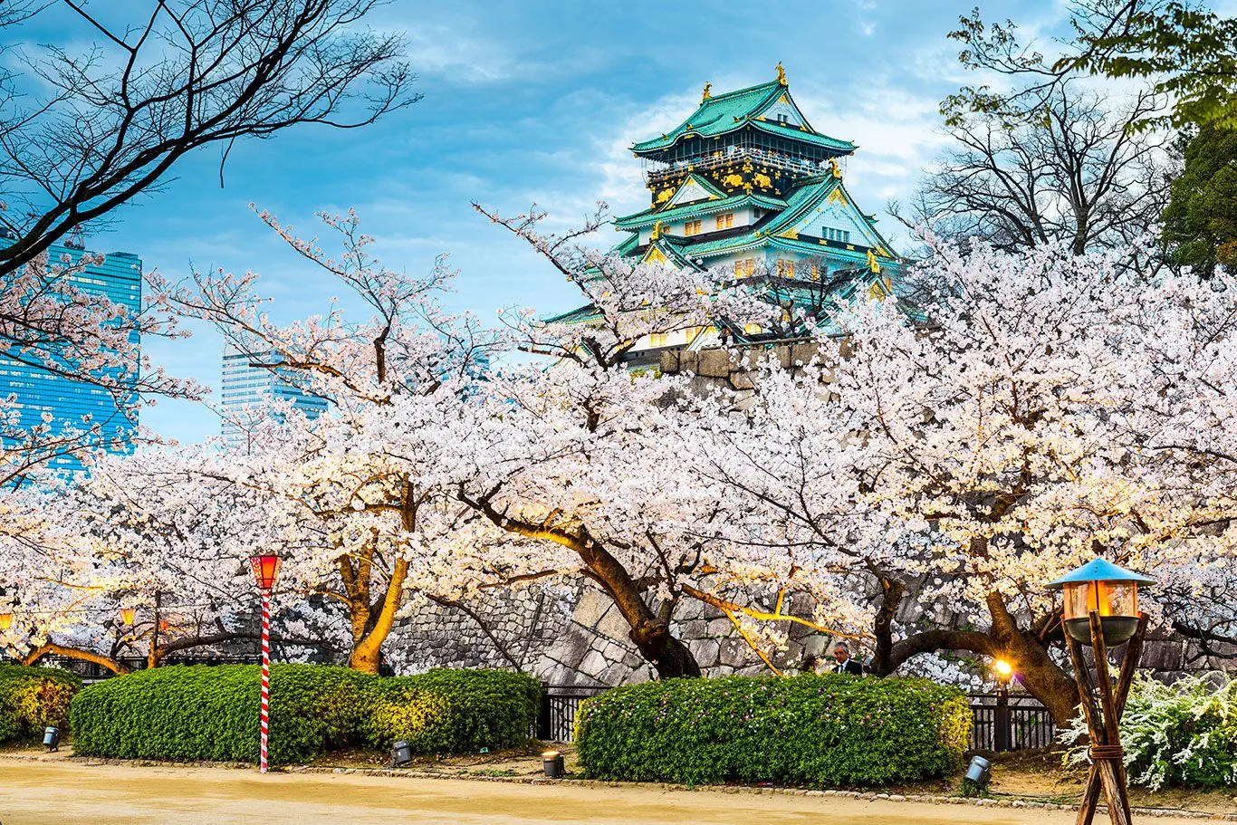 Hotel: Japonia: Kultura i Piękno