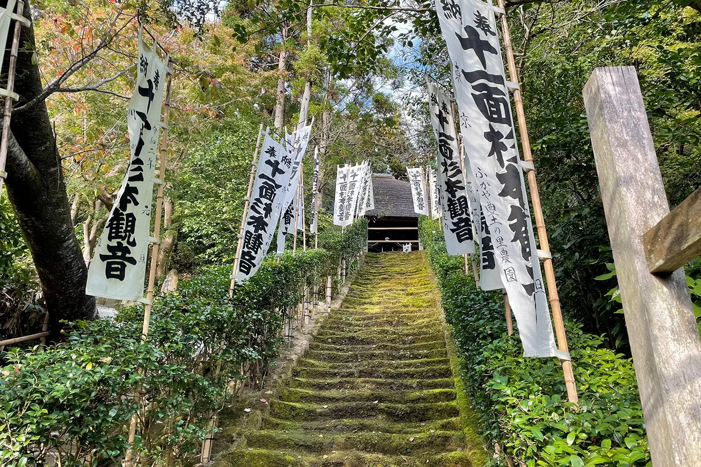 Hotel: Japonia: Kultura i Piękno