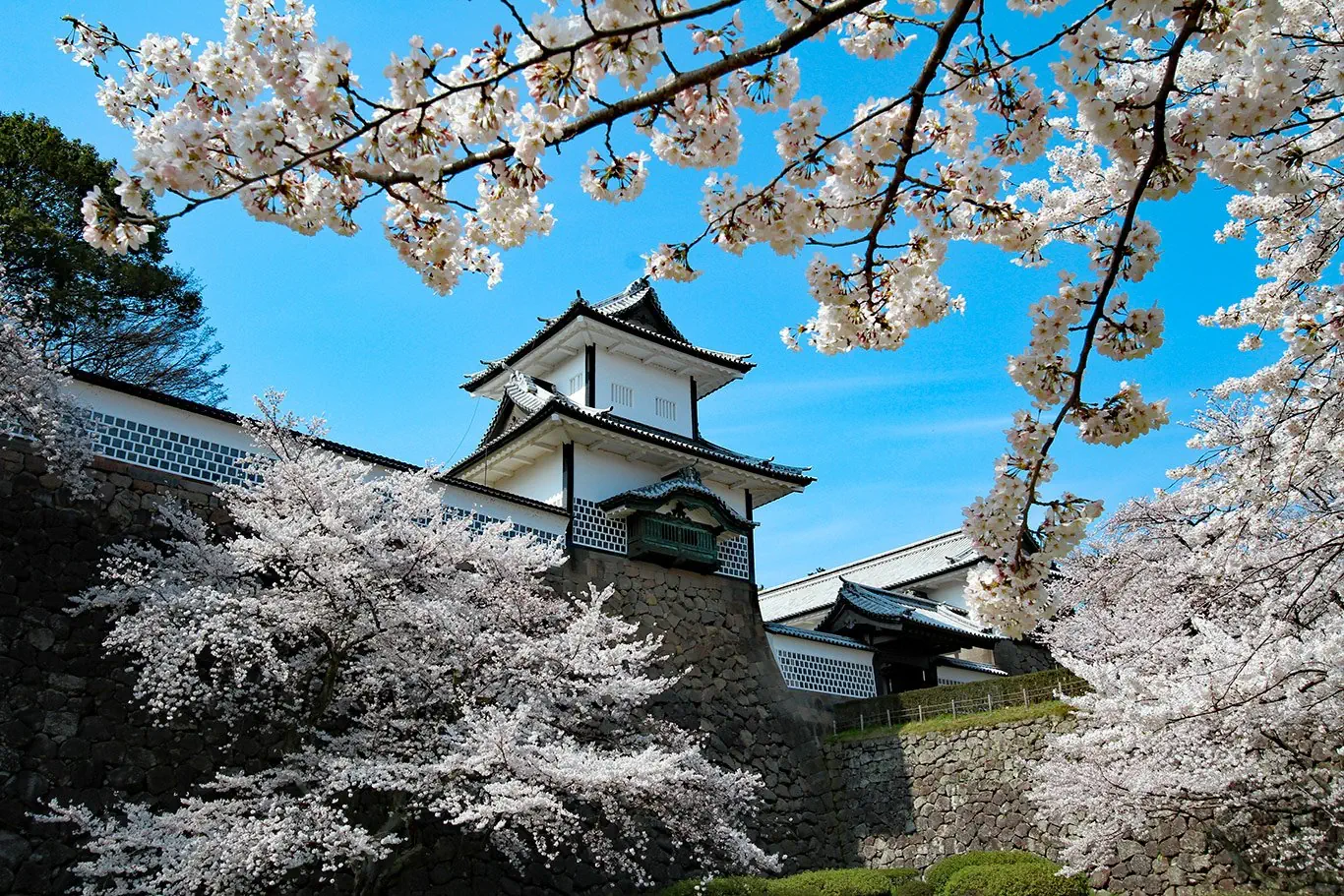 Hotel: Japonia: Kultura i Piękno