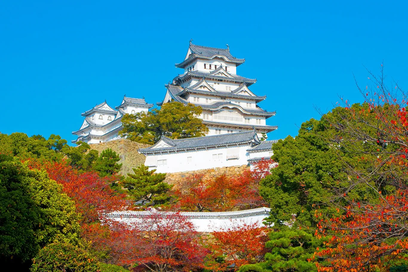 Hotel: Japonia: Kultura i Piękno