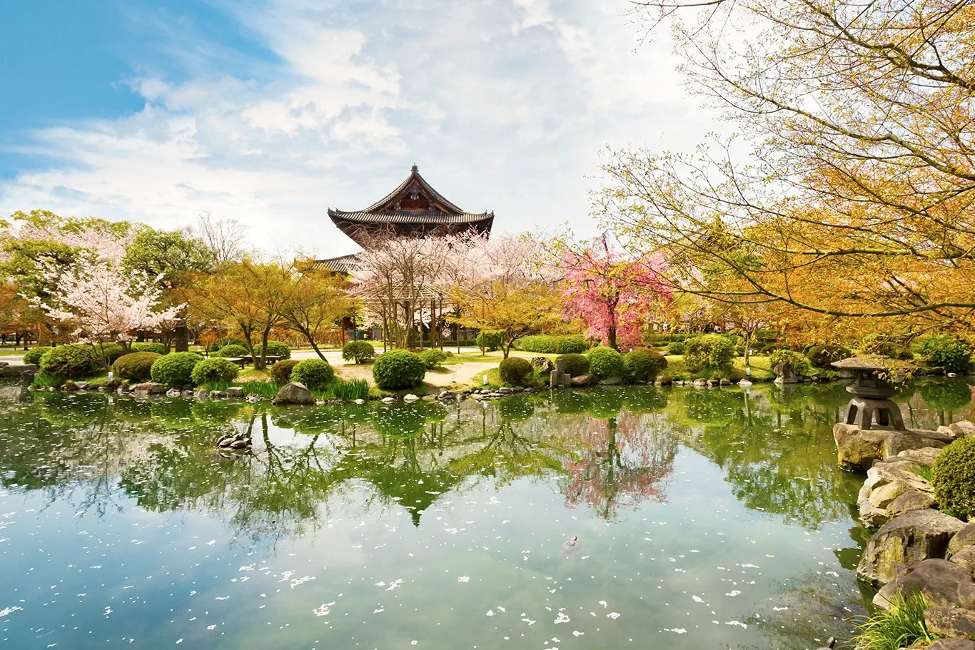 Hotel: Japonia: Kultura i Piękno