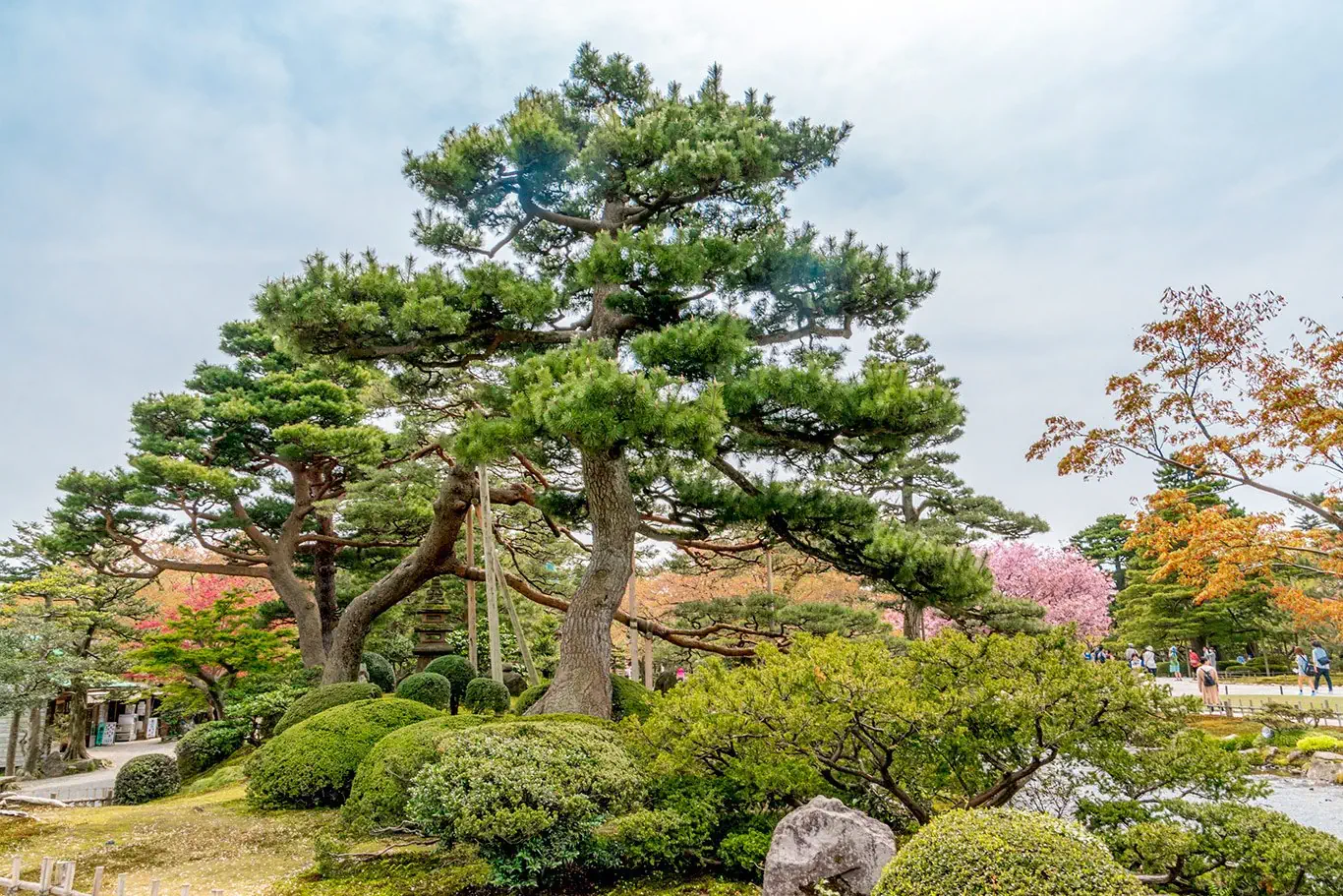 Hotel: Japonia: Kultura i Piękno