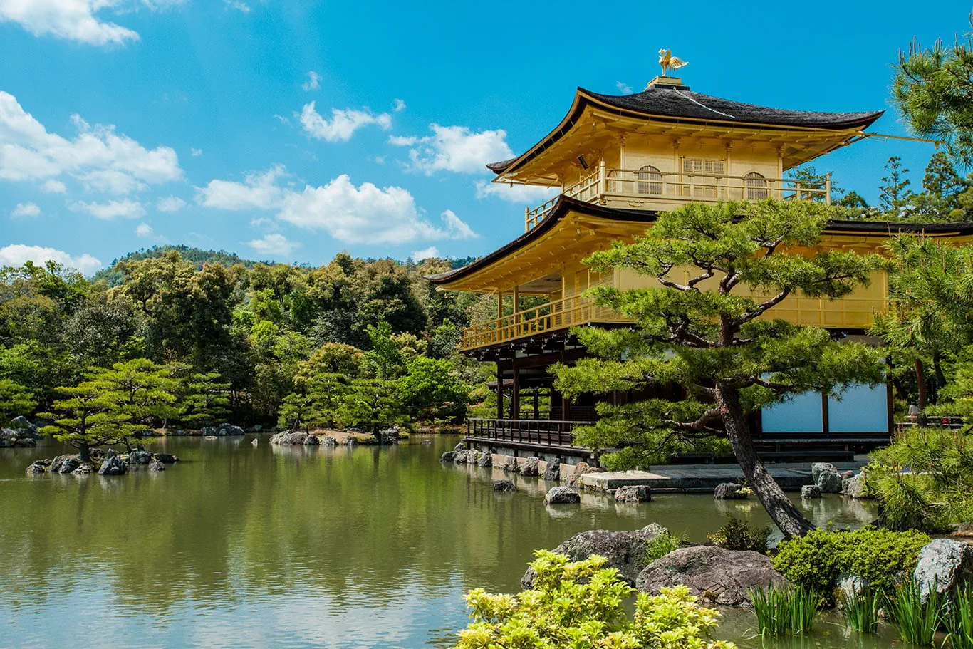 Hotel: Japonia: Kultura i Piękno