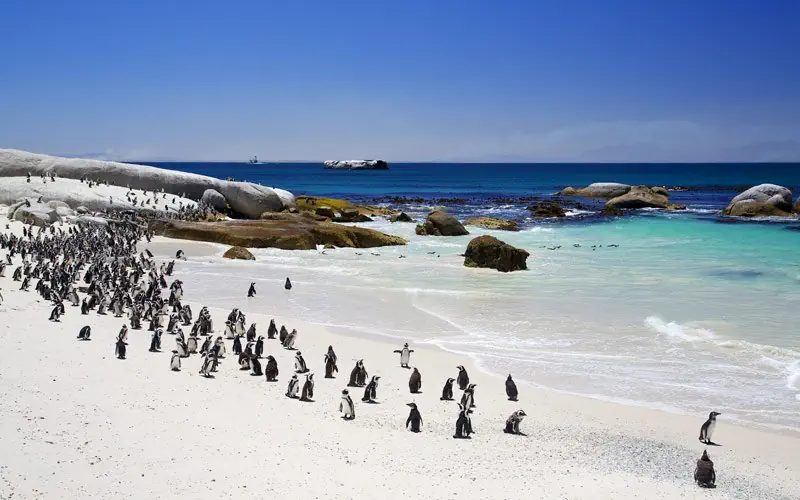RPA - Zimbabwe (Wodospady Wiktorii) - Botswana - zdjęcie 38