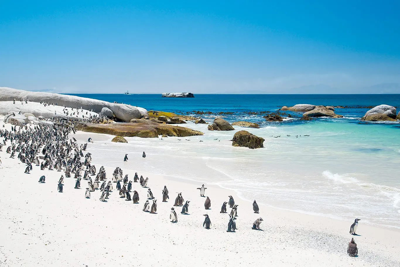 RPA - Wodospady Wiktorii - Botswana - zdjęcie 51