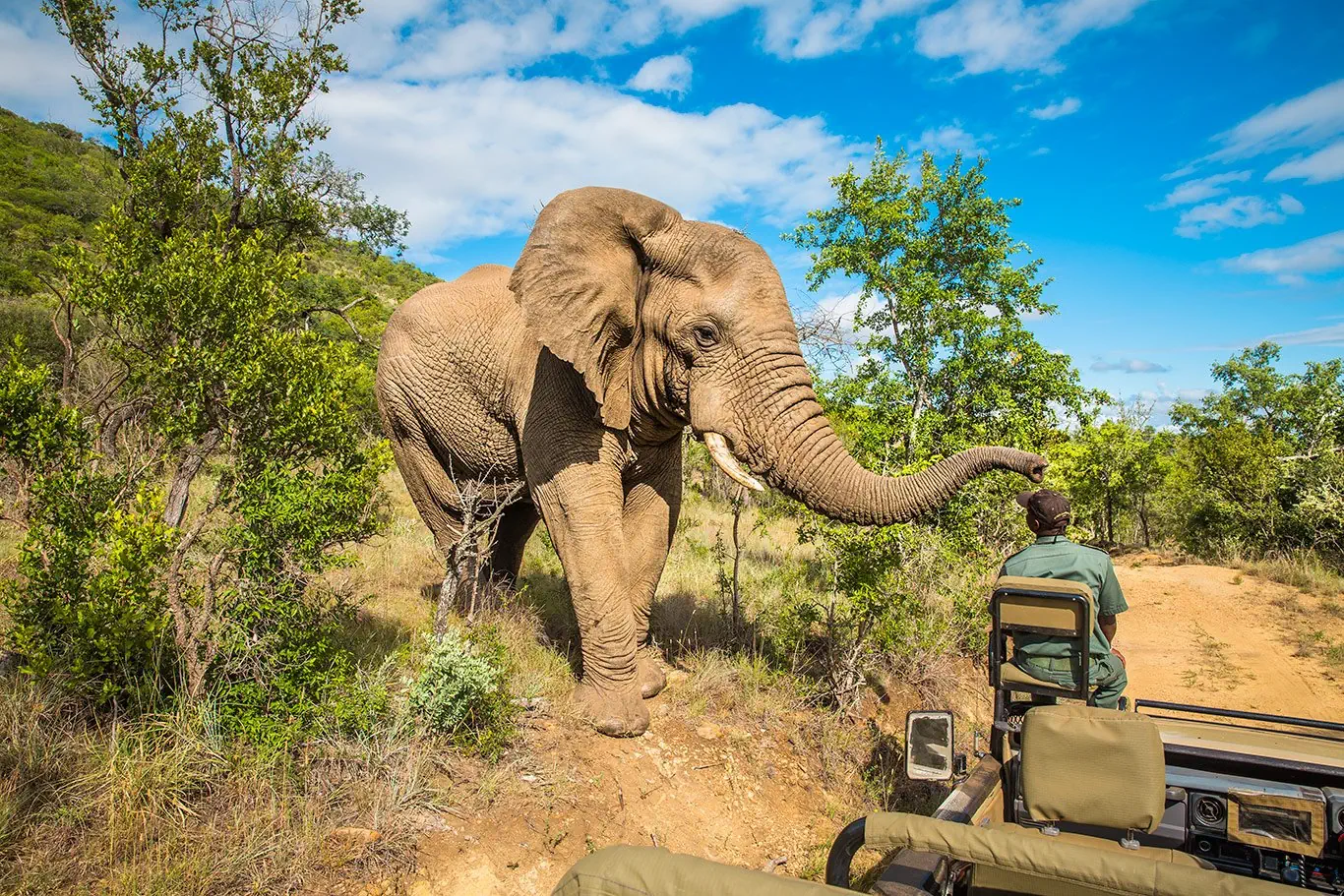 RPA - Wodospady Wiktorii - Botswana - zdjęcie 32
