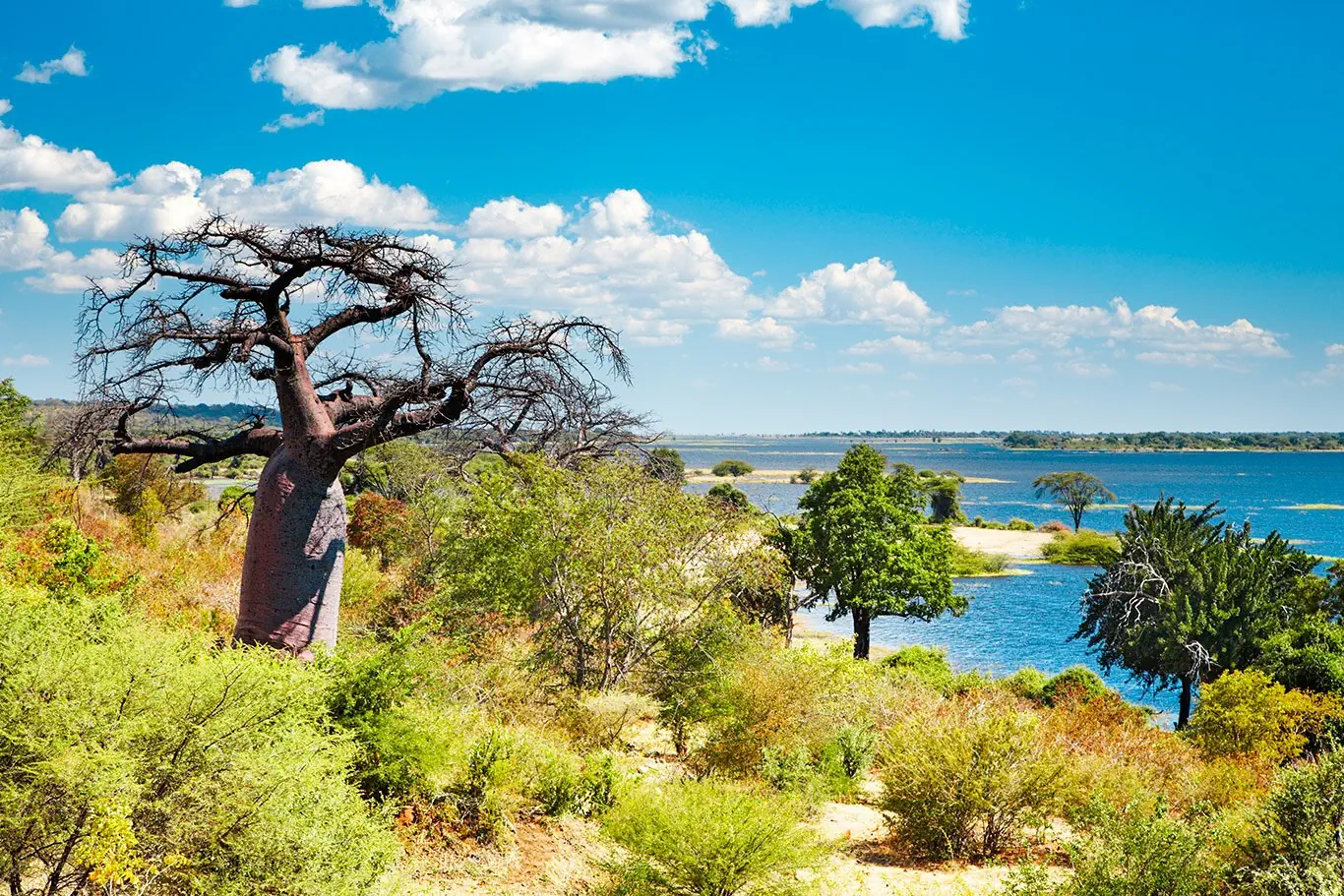 RPA - Wodospady Wiktorii - Botswana - zdjęcie 58