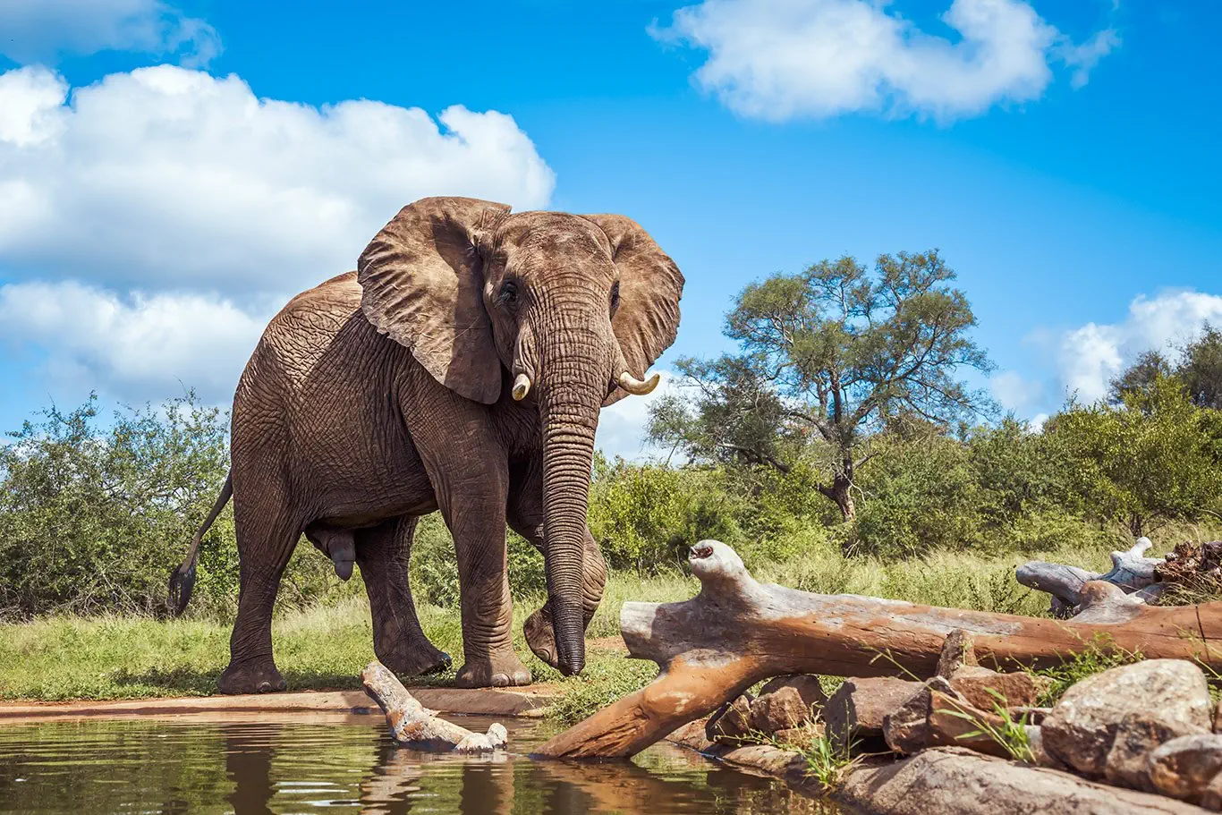 RPA - Wodospady Wiktorii - Botswana - zdjęcie 40
