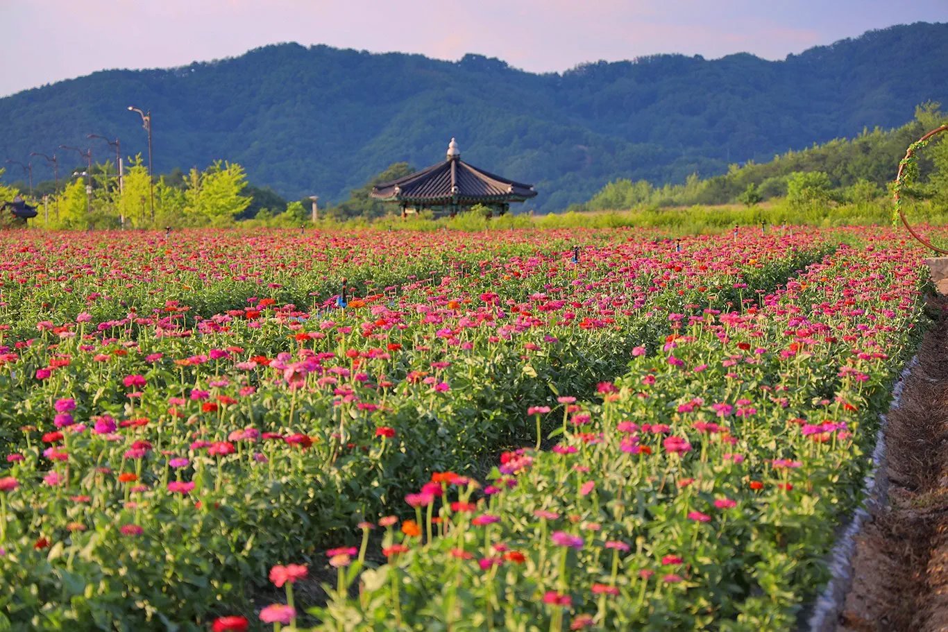 Hotel: Korea Południowa - Kraina Kimchi