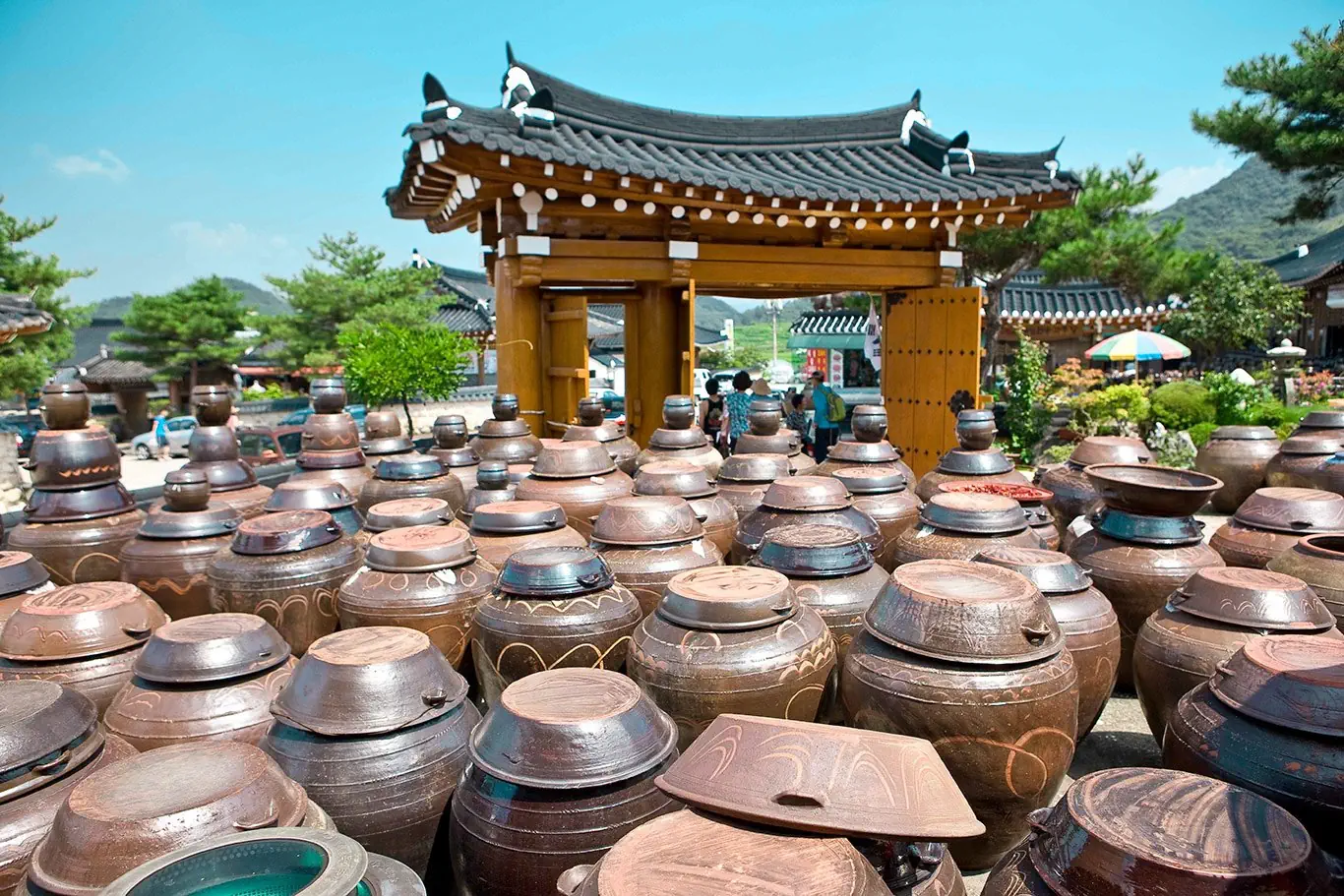 Korea Południowa od kuchni - zdjęcie 5