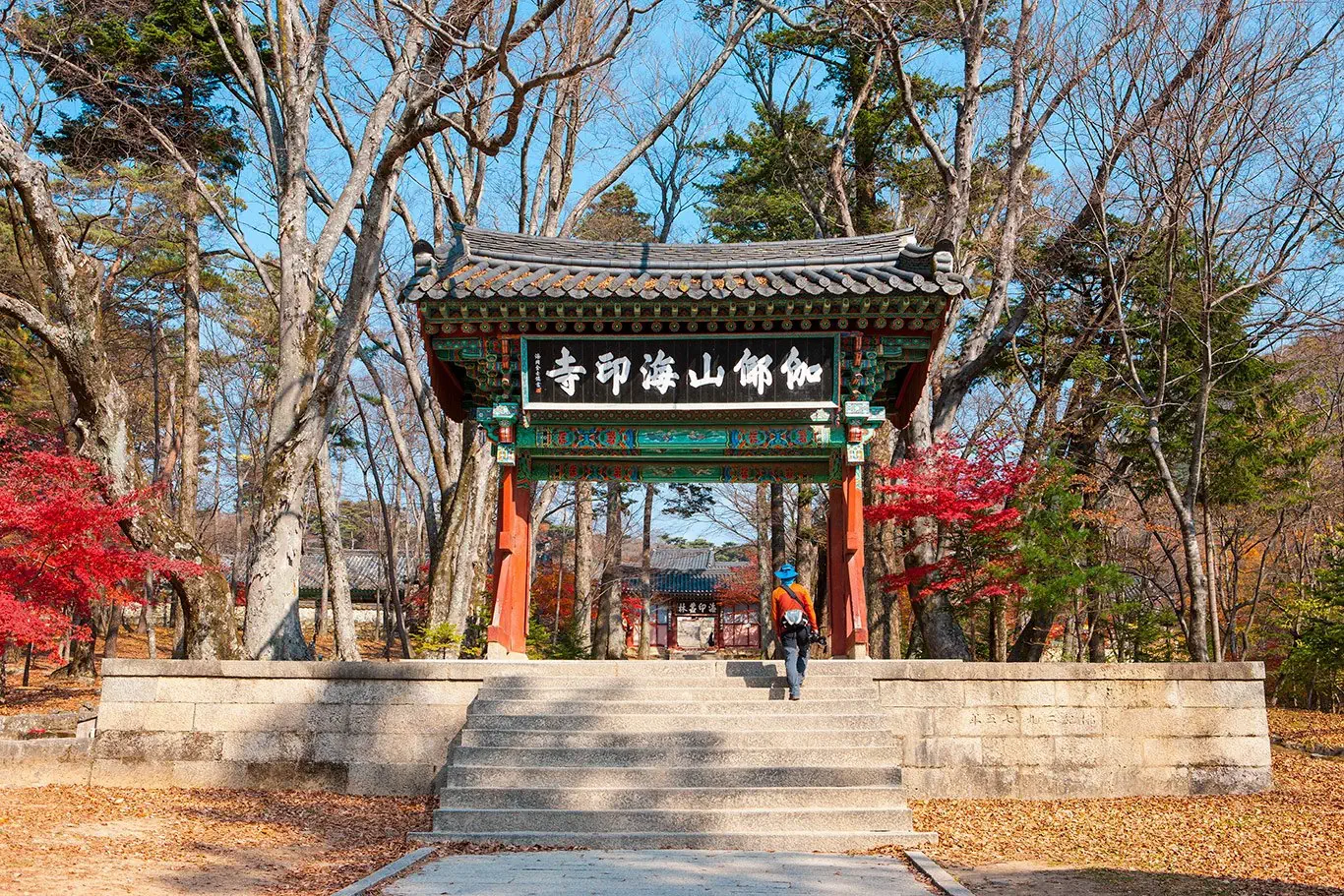 Korea Południowa od kuchni - zdjęcie 41