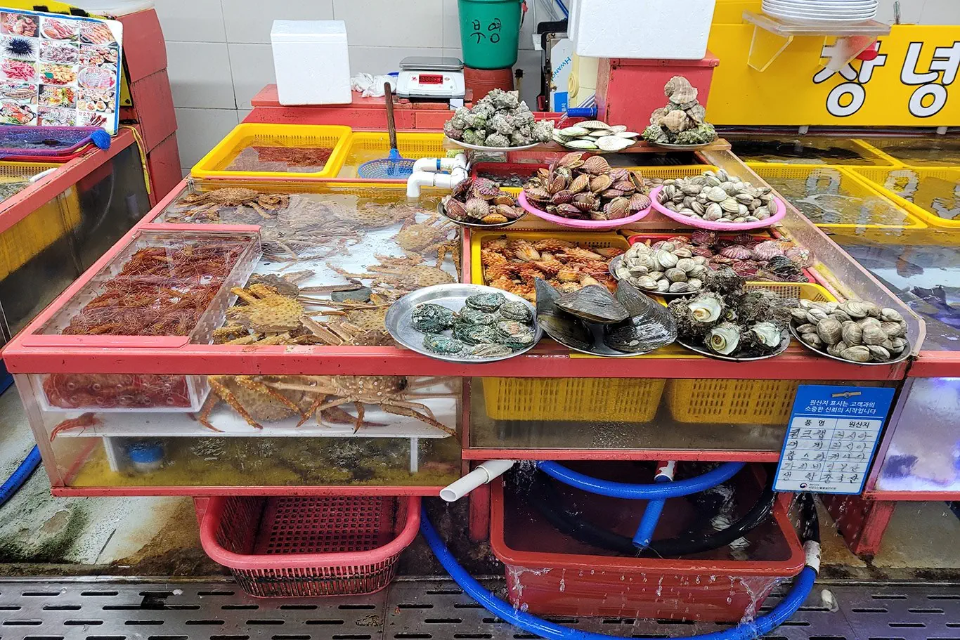 Korea Południowa od kuchni - zdjęcie 62