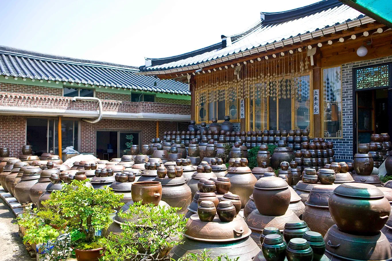 Korea Południowa od kuchni - zdjęcie 32