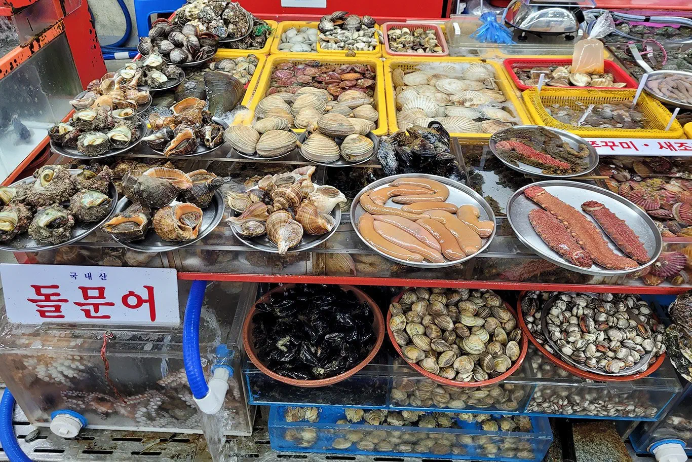 Korea Południowa od kuchni - zdjęcie 64