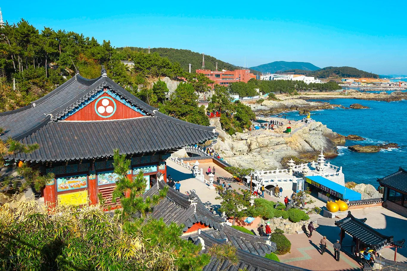 Korea Południowa od kuchni - zdjęcie 53
