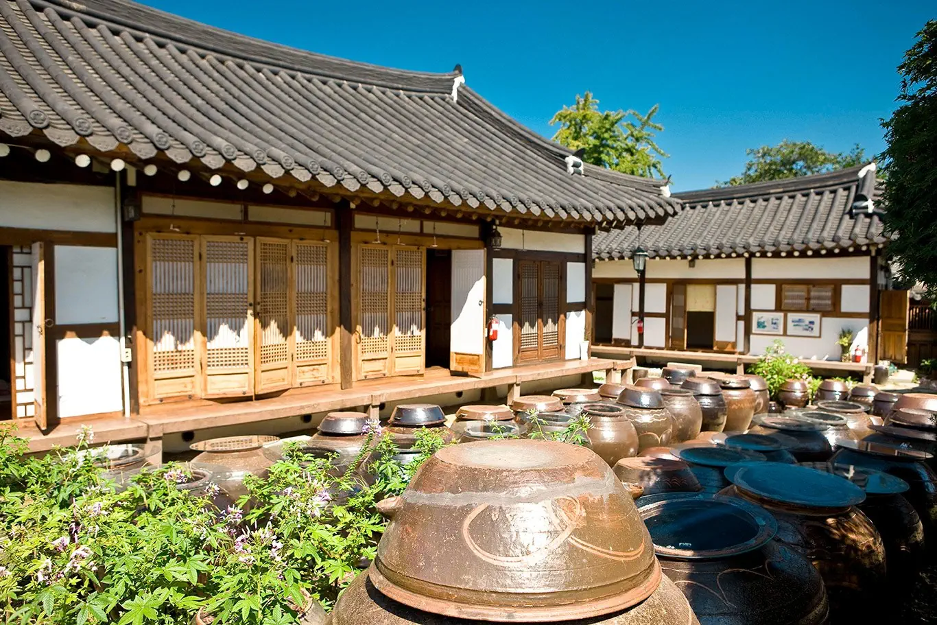 Korea Południowa od kuchni - zdjęcie 20