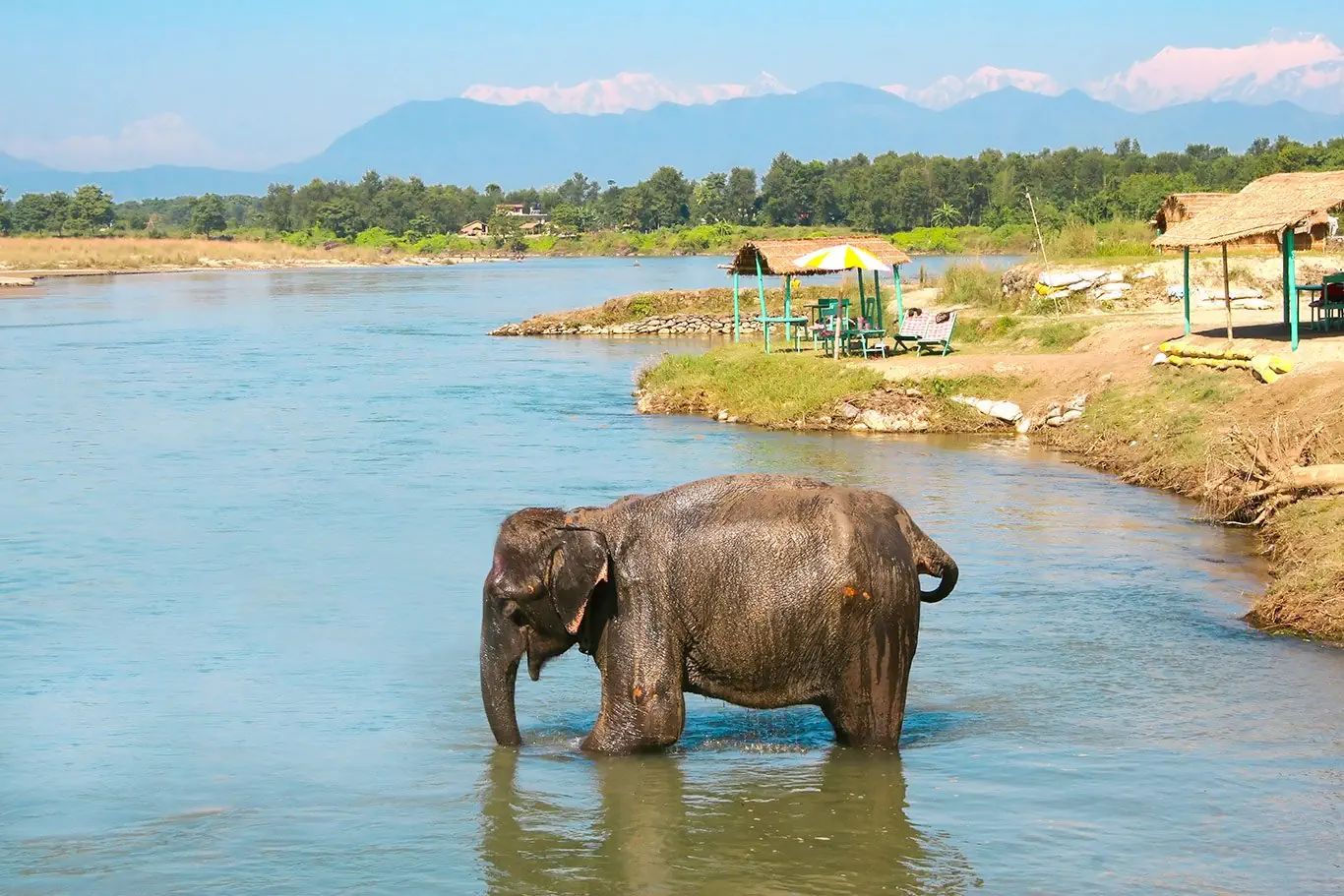 Nepal - w królestwie Himalajów - zdjęcie 23
