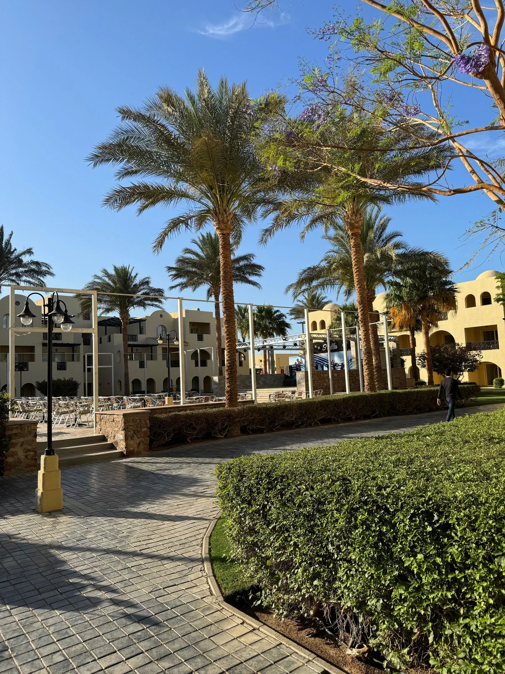 Stella Gardens Resort & Spa (ex Stella Di Mare Gardens) - zdjęcie 34