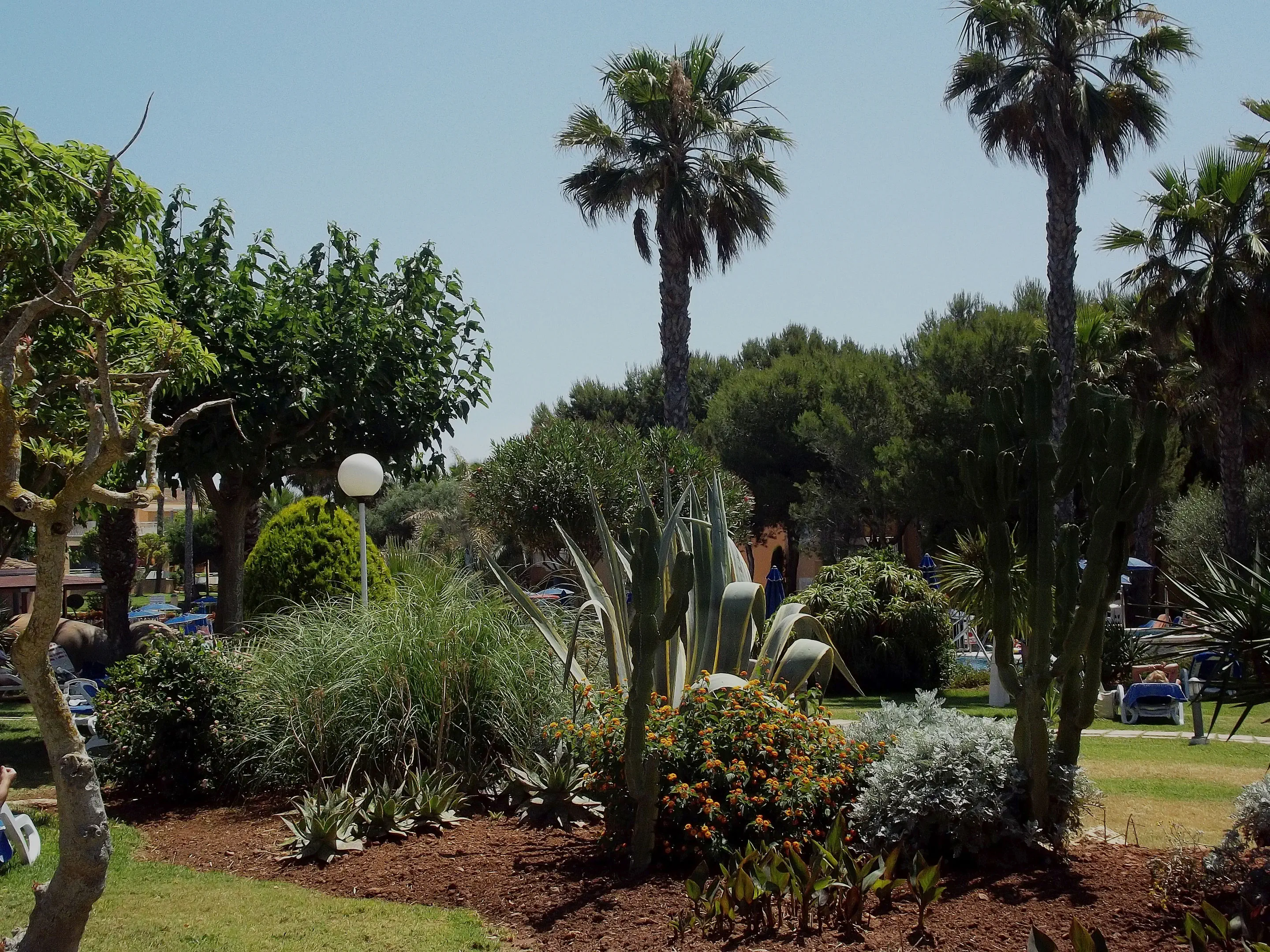 Princesa Playa (Ciutadella) - zdjęcie 42
