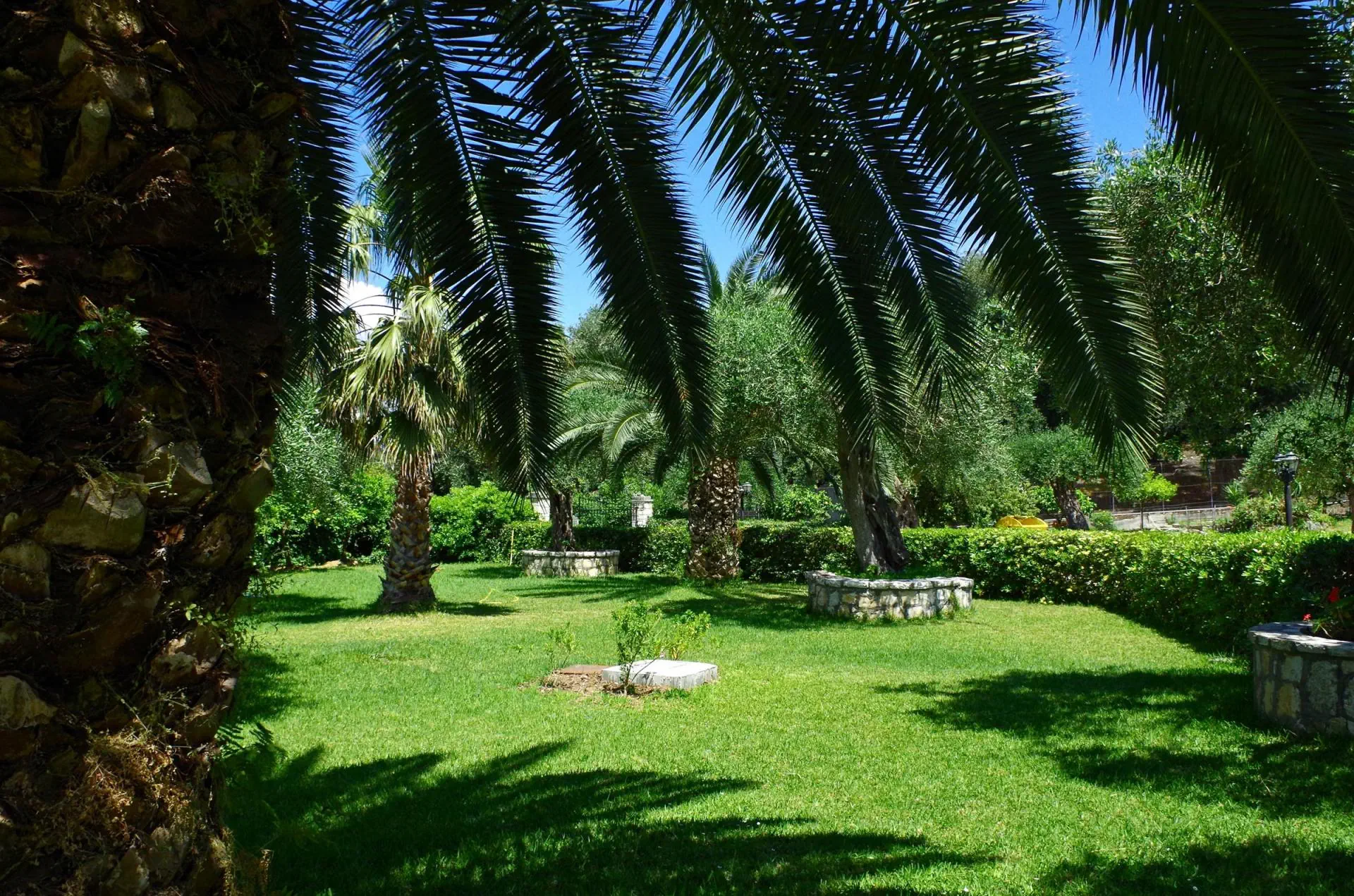 HOTEL Nefeli