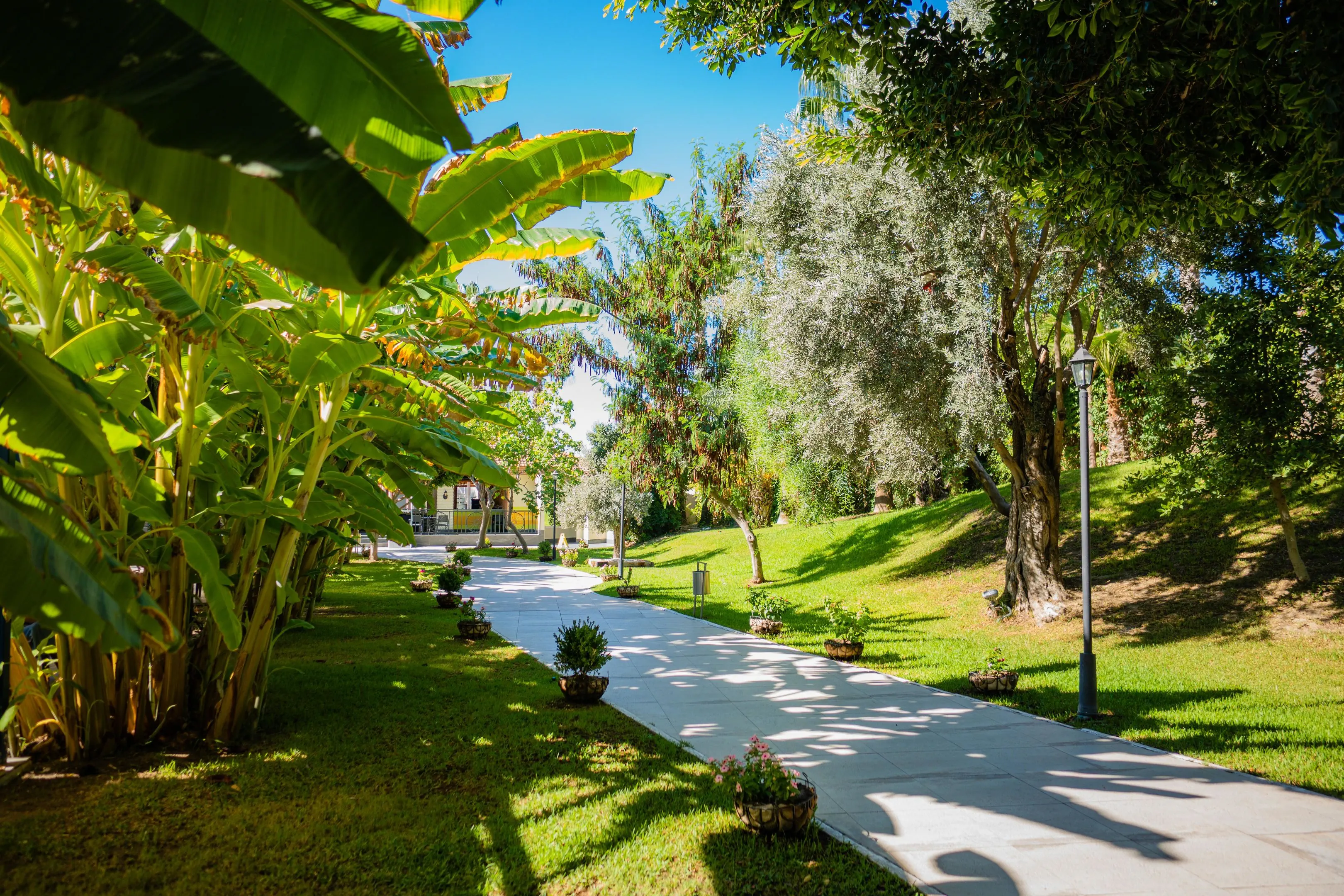 Sural Resort - zdjęcie 23
