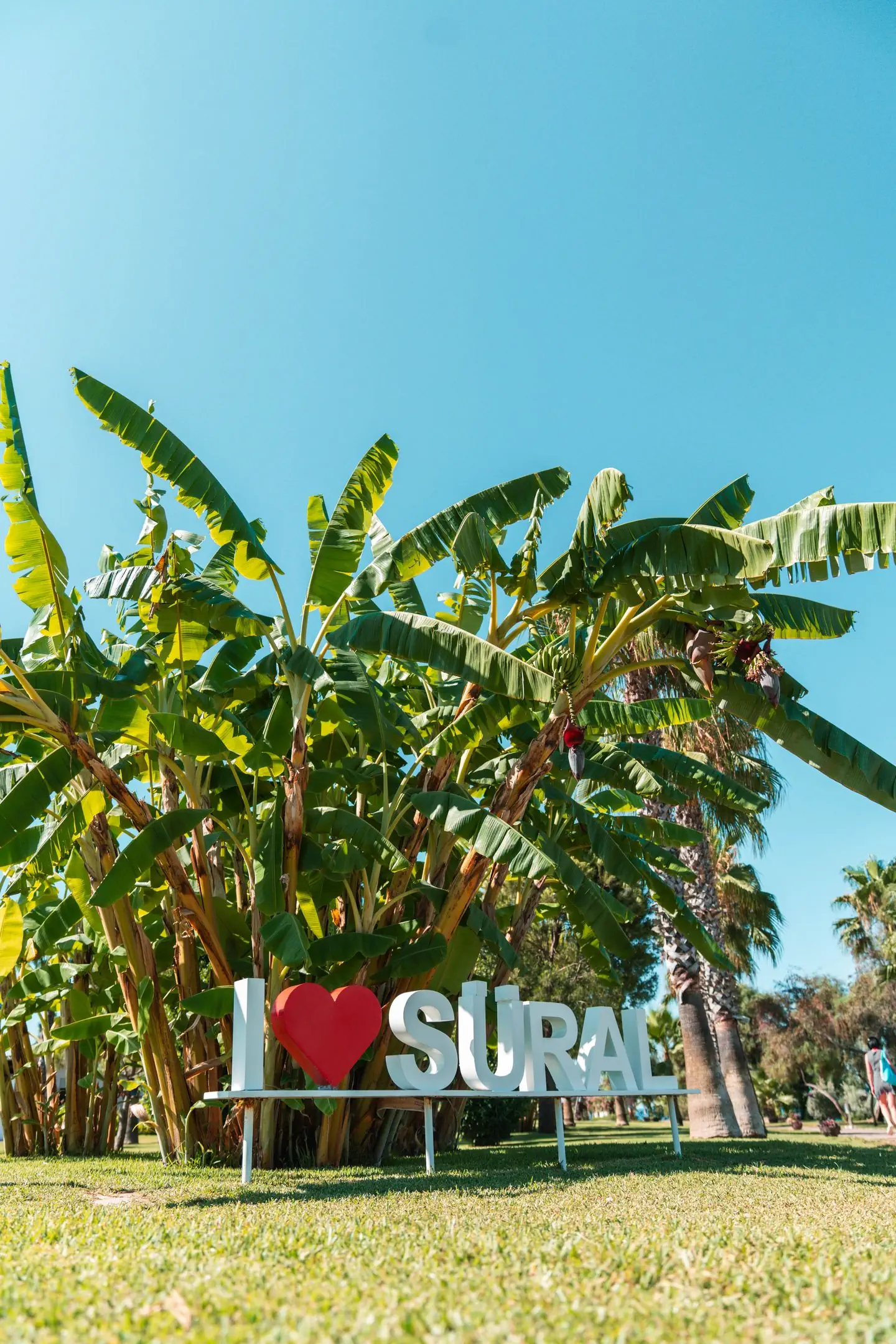 Sural Resort - zdjęcie 25