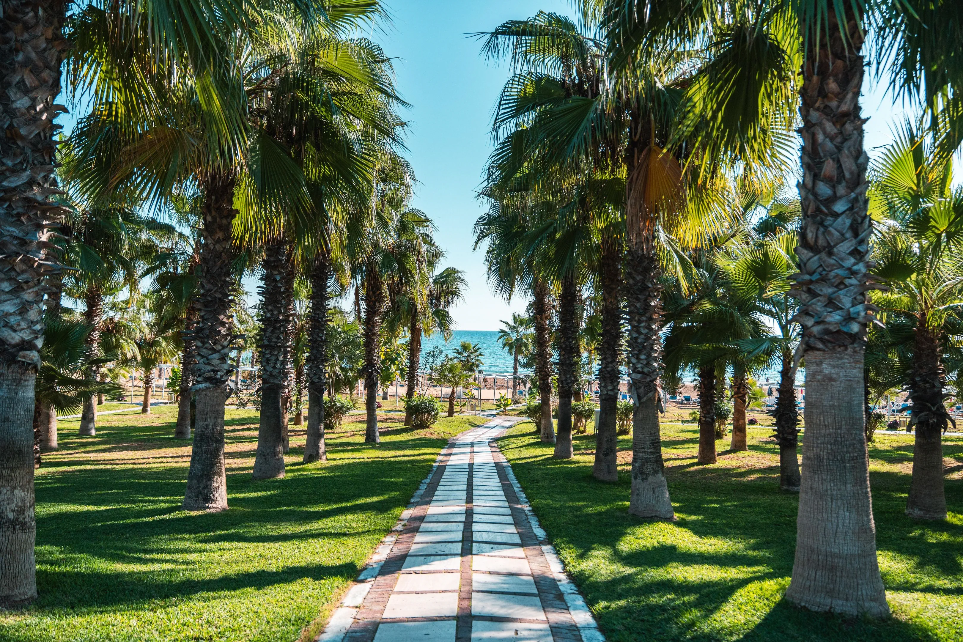 Sural Resort - zdjęcie 20