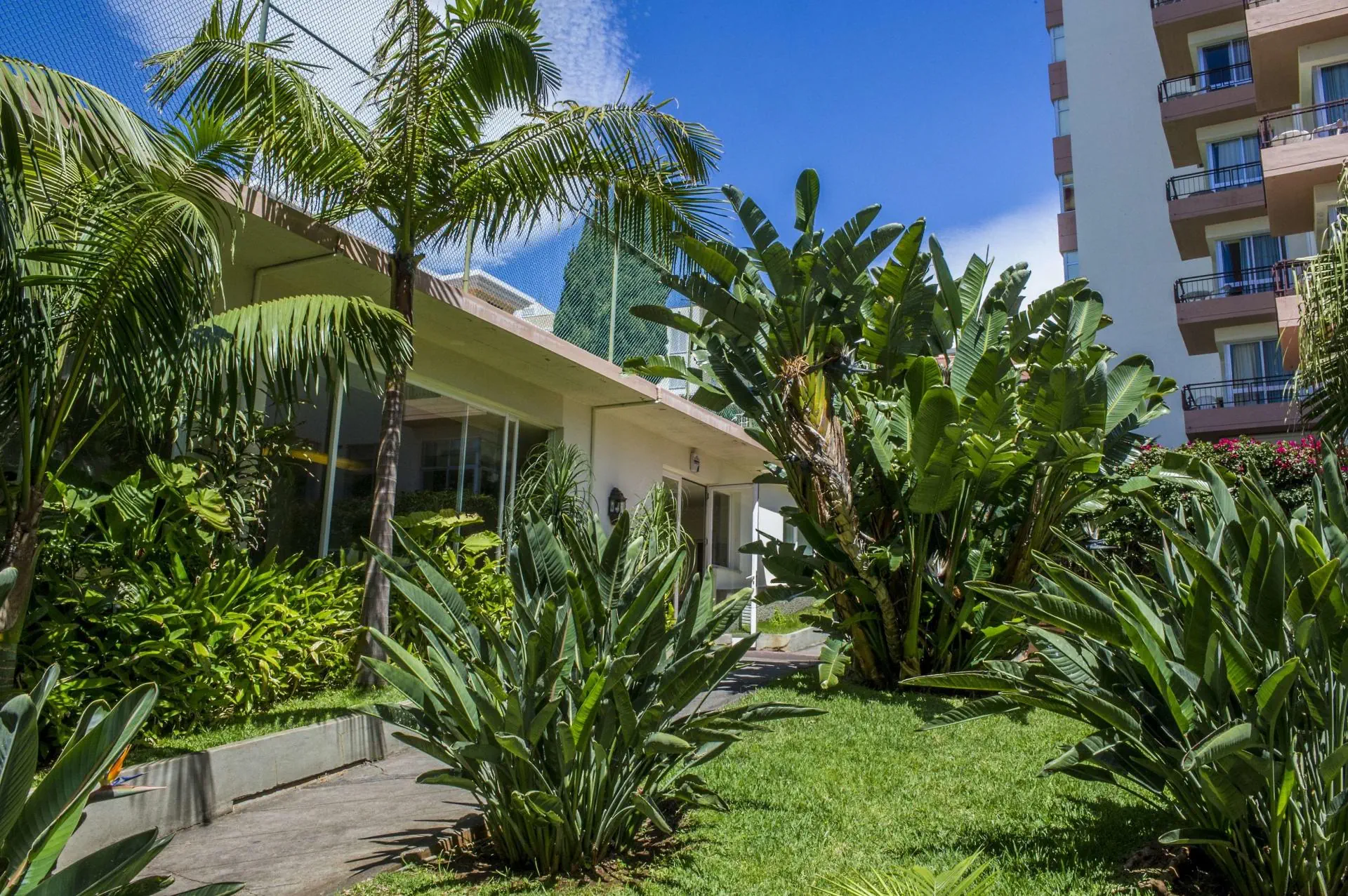 HOTEL Aparthotel Dorisol Mimosa