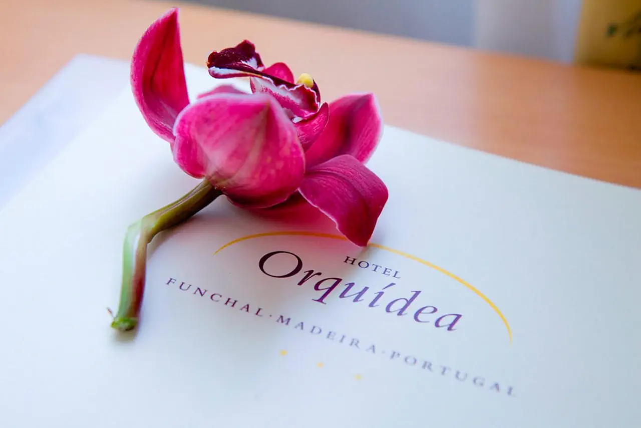Orquidea (Funchal) - zdjęcie 3