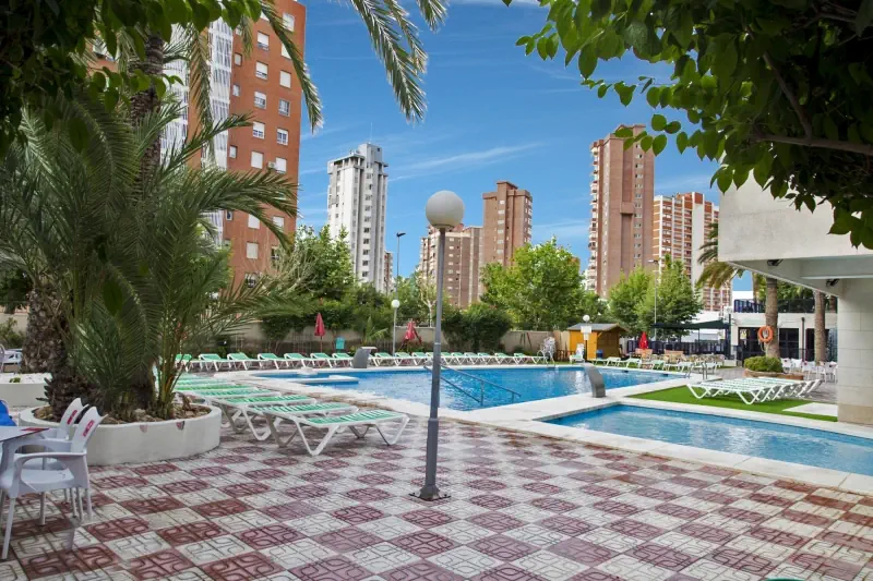 Joya - zdjęcie 33
