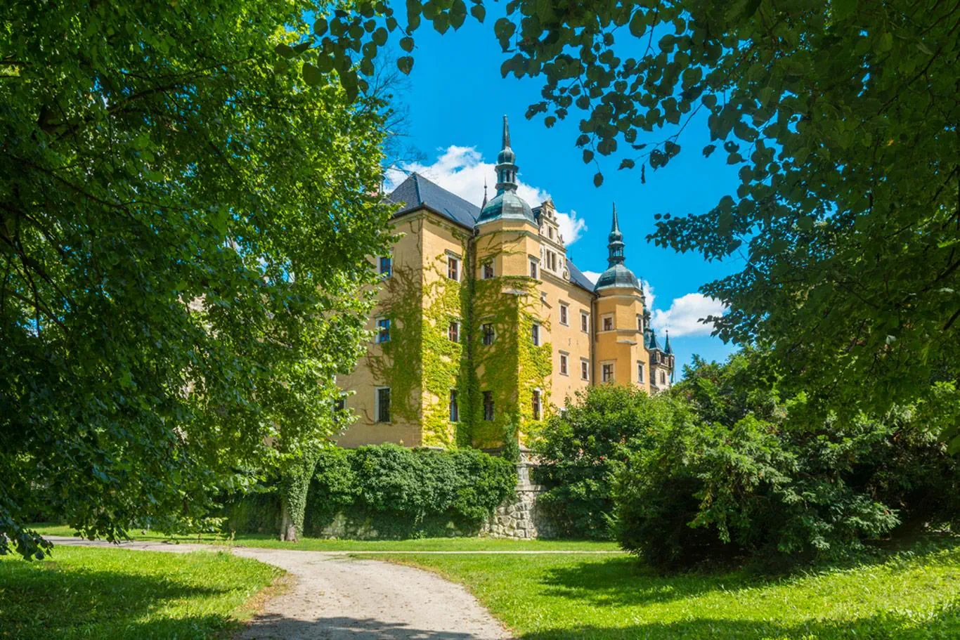 Zamek Kliczków - zdjęcie 4