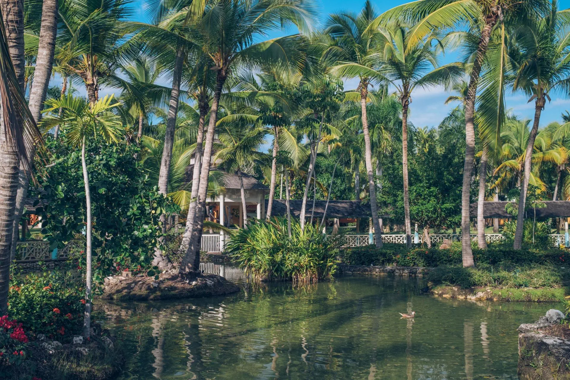 HOTEL IBEROSTAR Selection Bavaro Suites