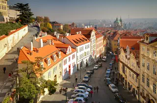 Golden Star - zdjęcie 10