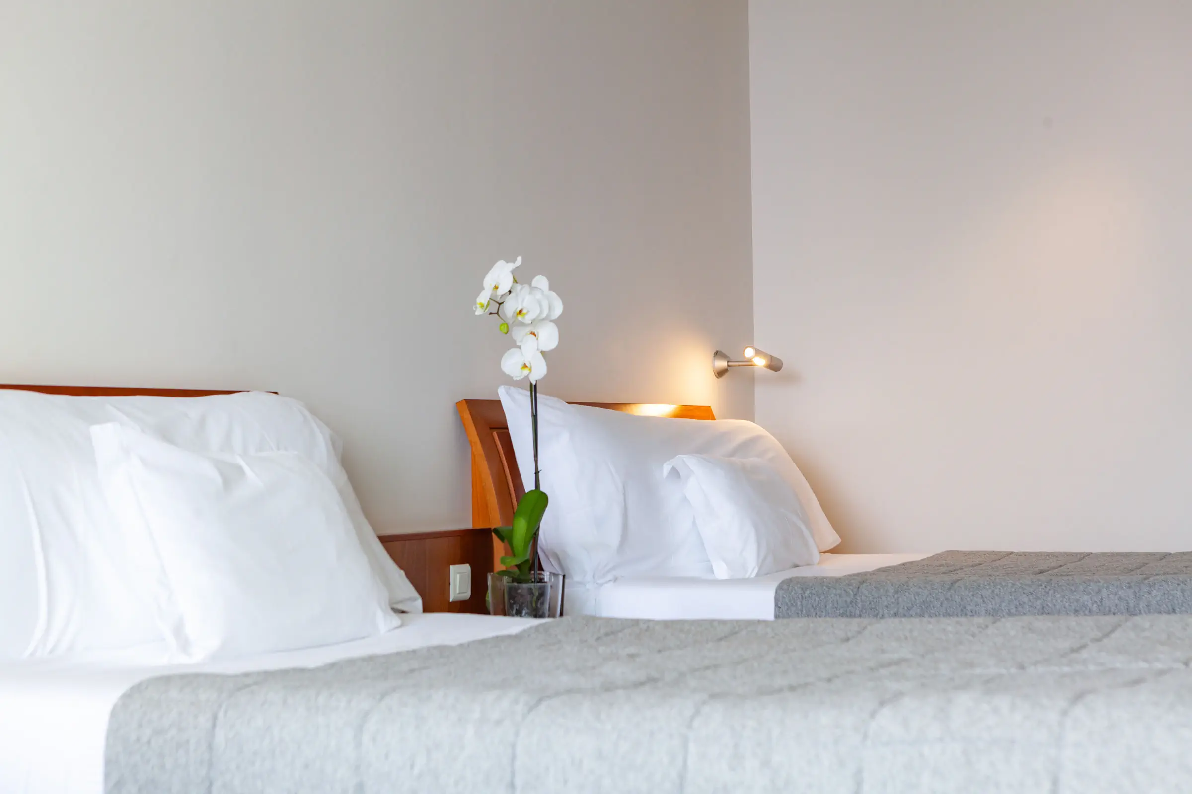 Vidamar Resort - zdjęcie 43
