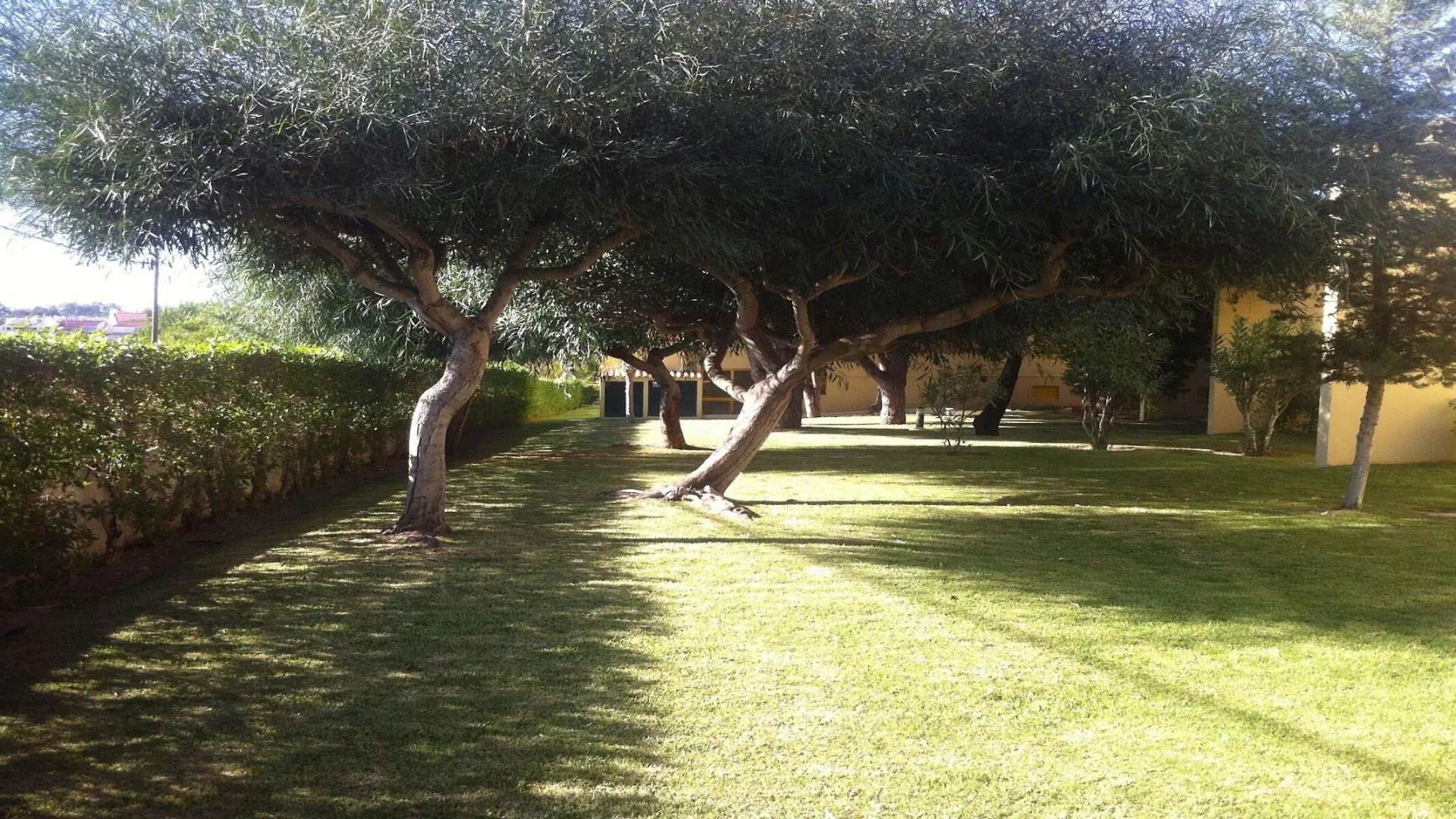 HOTEL Hotel Pinhal Do Sol