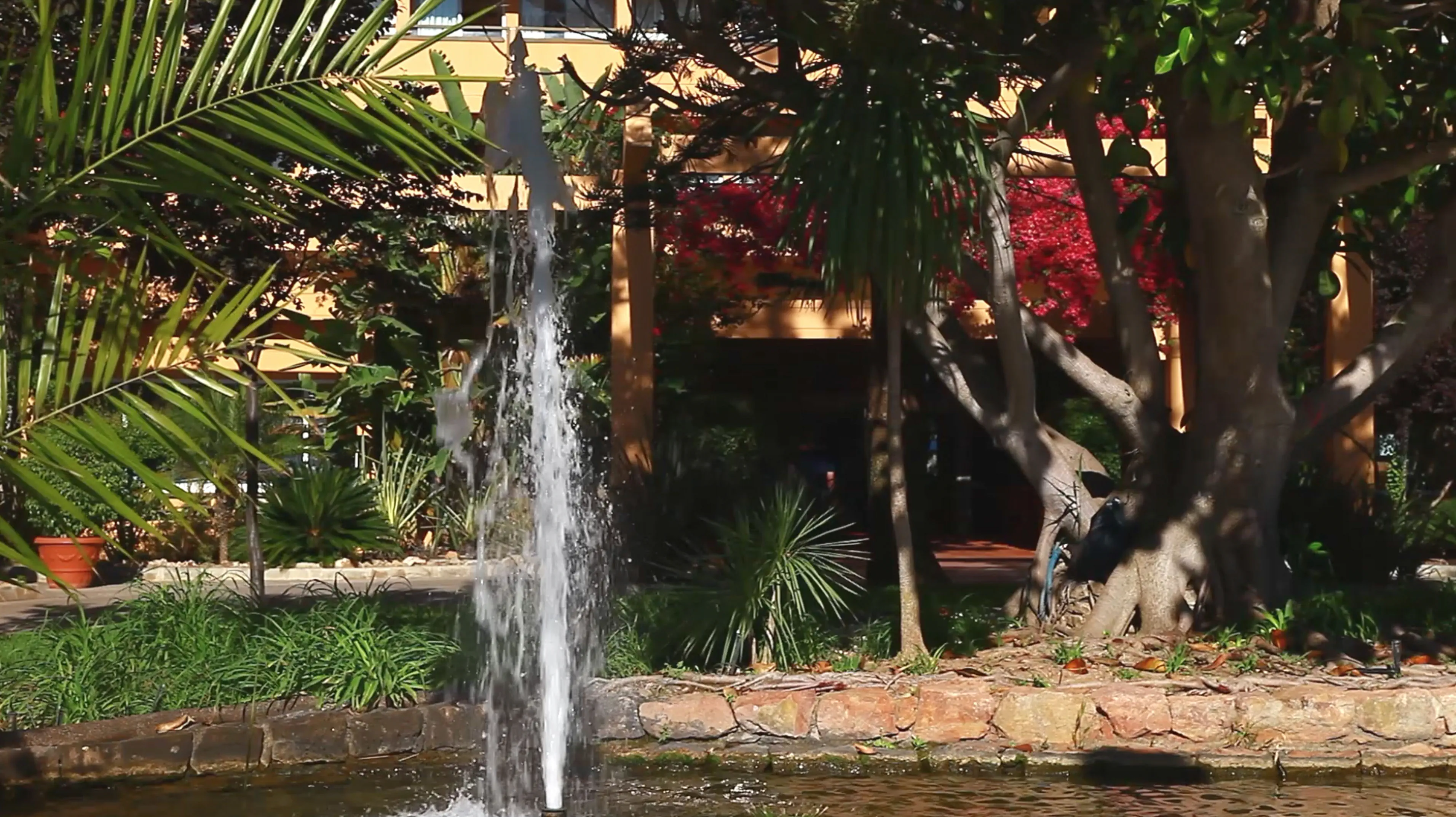 Hyatt Regency Vilamoura Algarve - zdjęcie 22