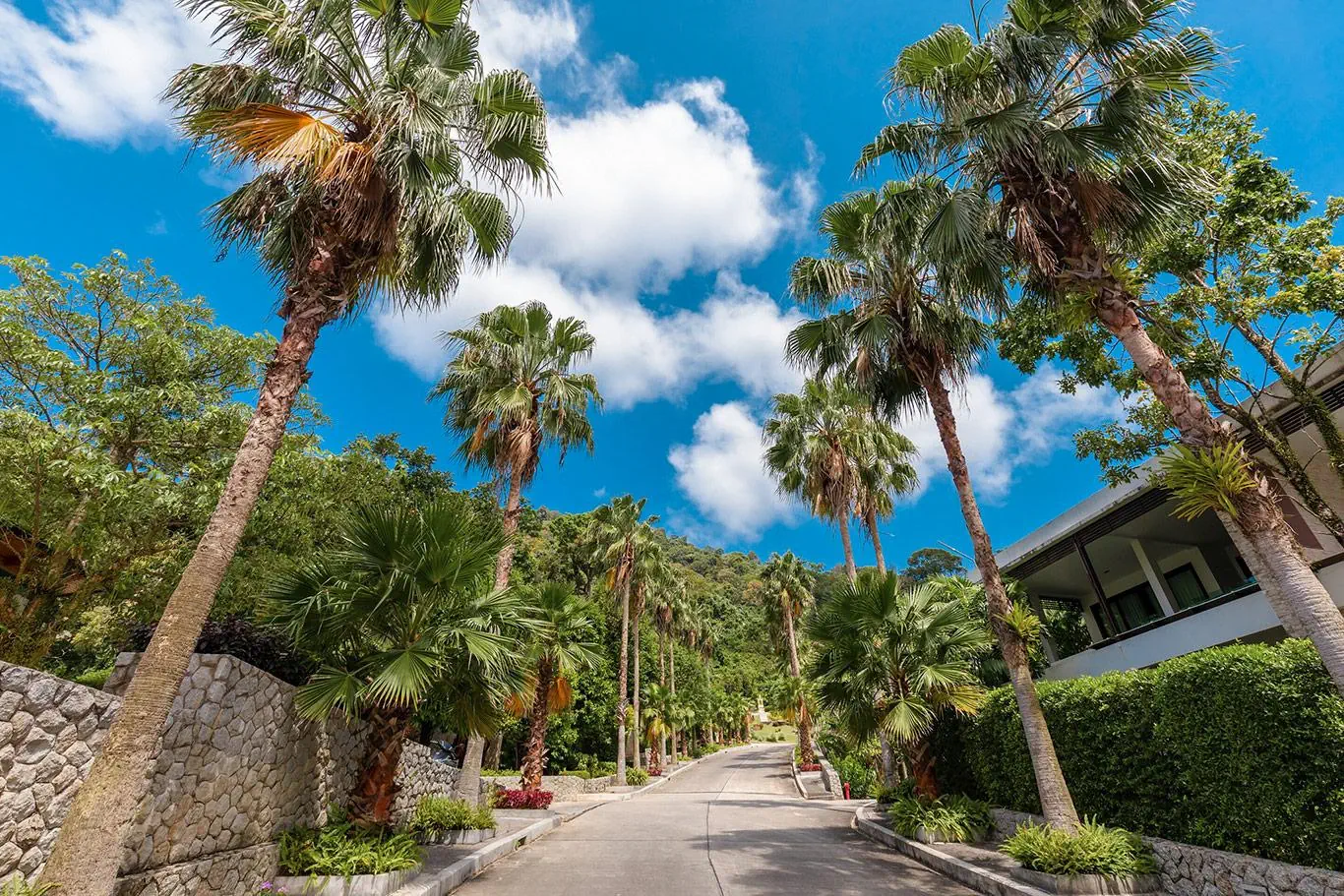 Wyndham Sea Pearl Resort Phuket (SHA Plus+) - zdjęcie 5