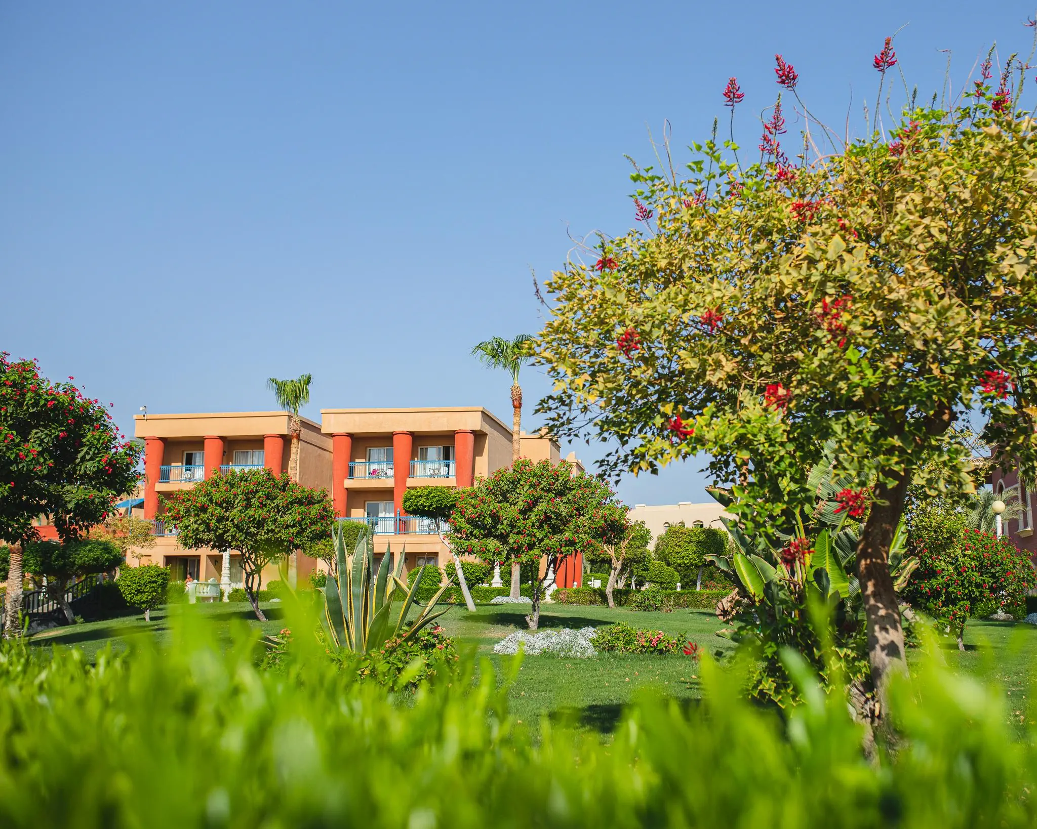 Titanic Palace Resort - zdjęcie 11
