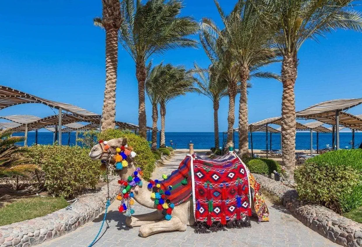 HOTEL Sphinx Aqua Park Beach resort