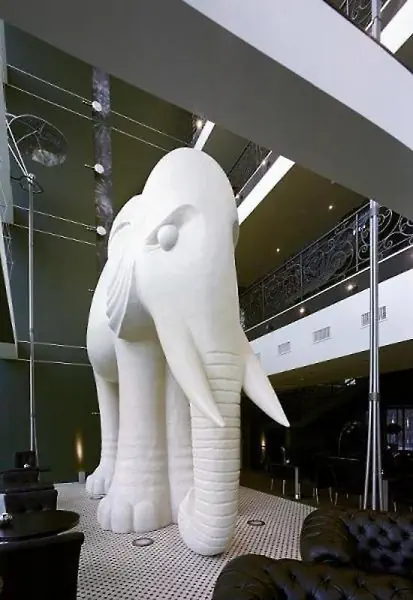 Rixwell Elefant (ex Wellton Elefant) - zdjęcie 51