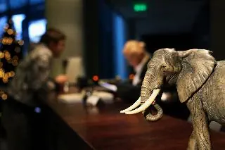 Rixwell Elefant (ex Wellton Elefant) - zdjęcie 22
