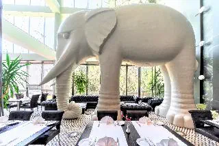 Rixwell Elefant (ex Wellton Elefant) - zdjęcie 6