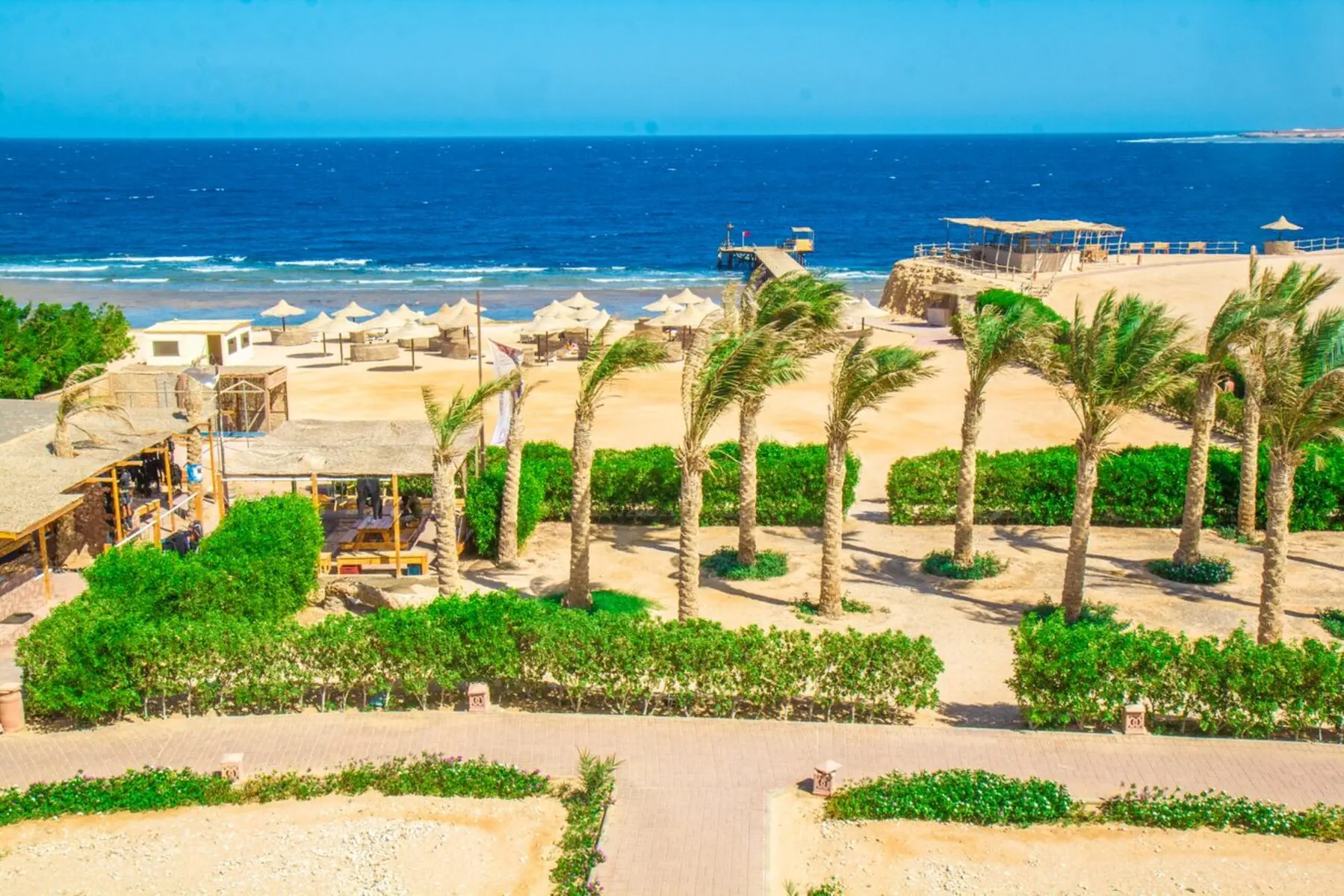 Viva Blue Resort & Diving Sports - zdjęcie 29