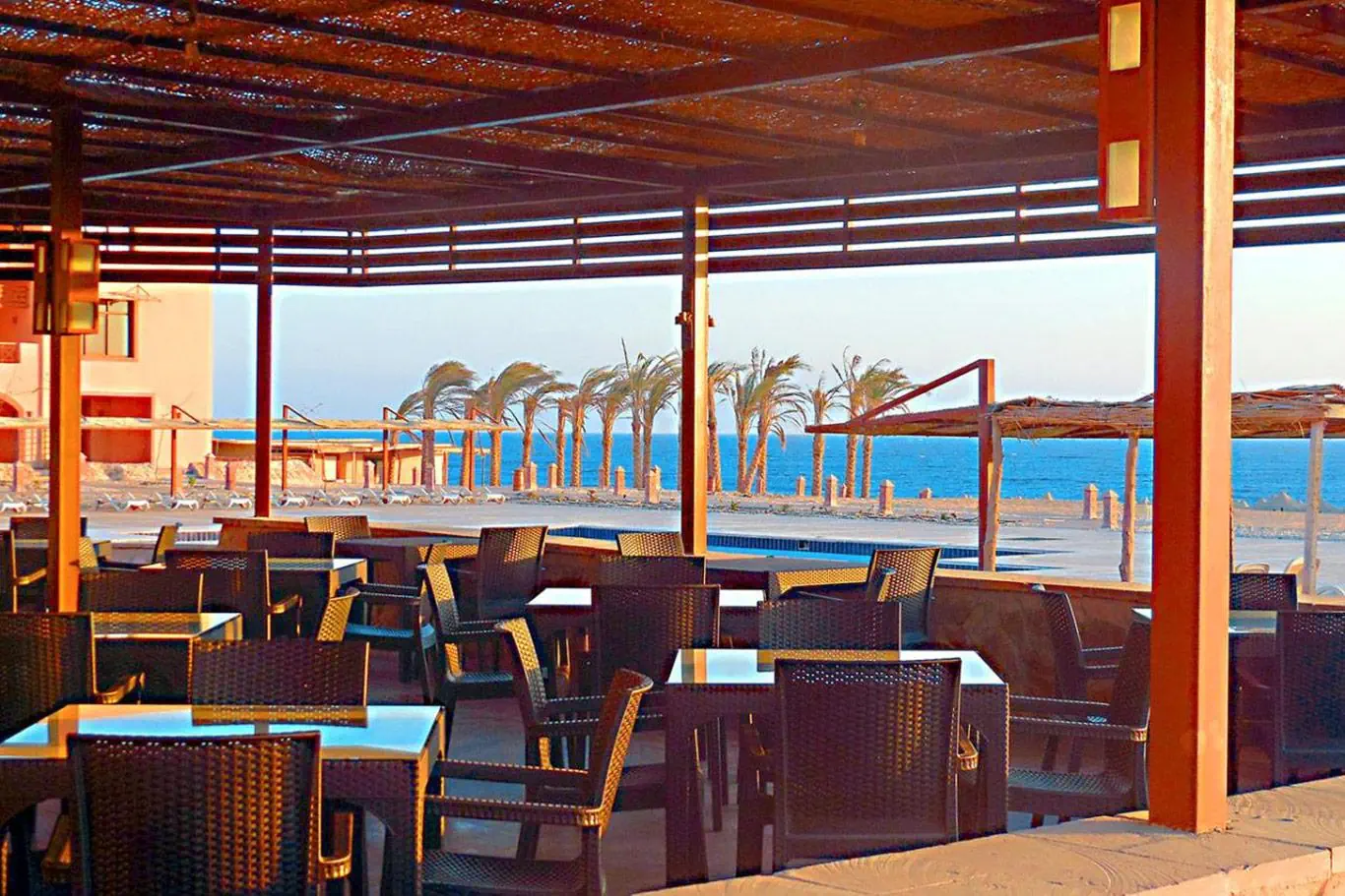 Viva Blue Resort & Diving Sports - zdjęcie 8