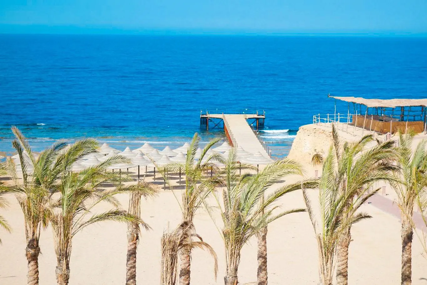 Viva Blue Resort & Diving Sports - zdjęcie 4