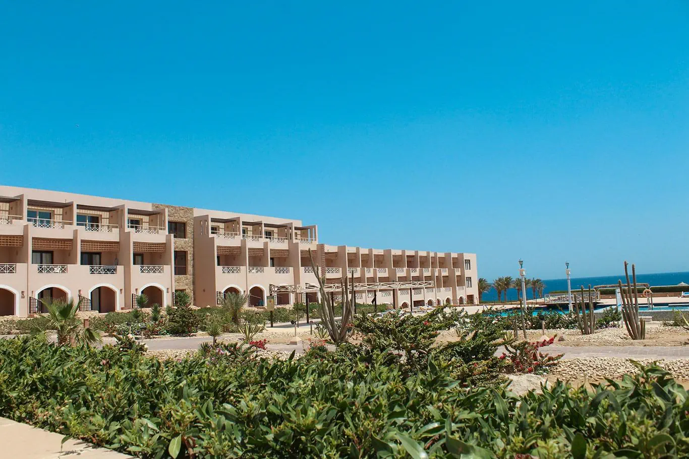 Viva Blue Resort & Diving Sports - zdjęcie 2