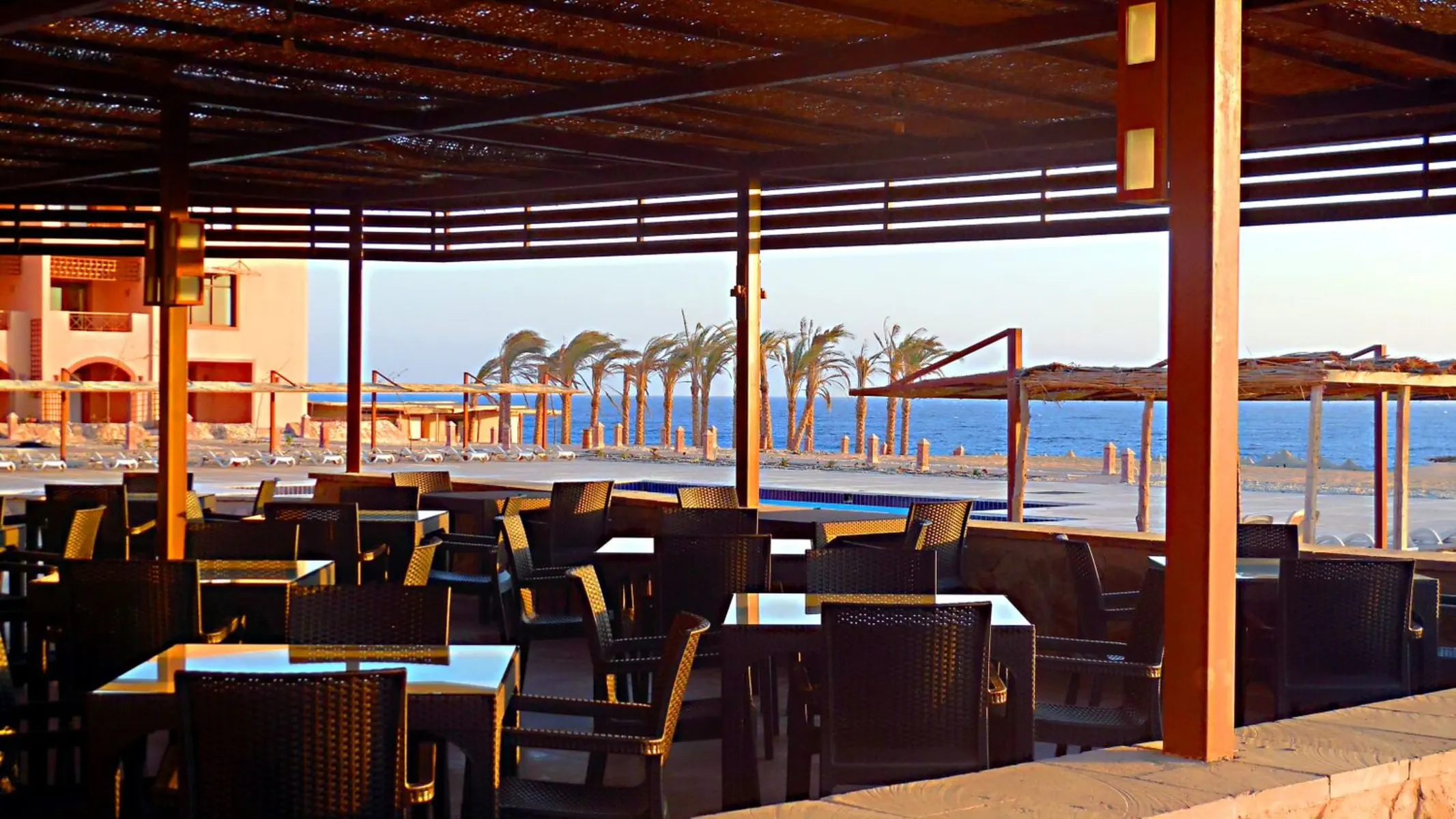 Viva Blue Resort & Diving Sports - zdjęcie 25