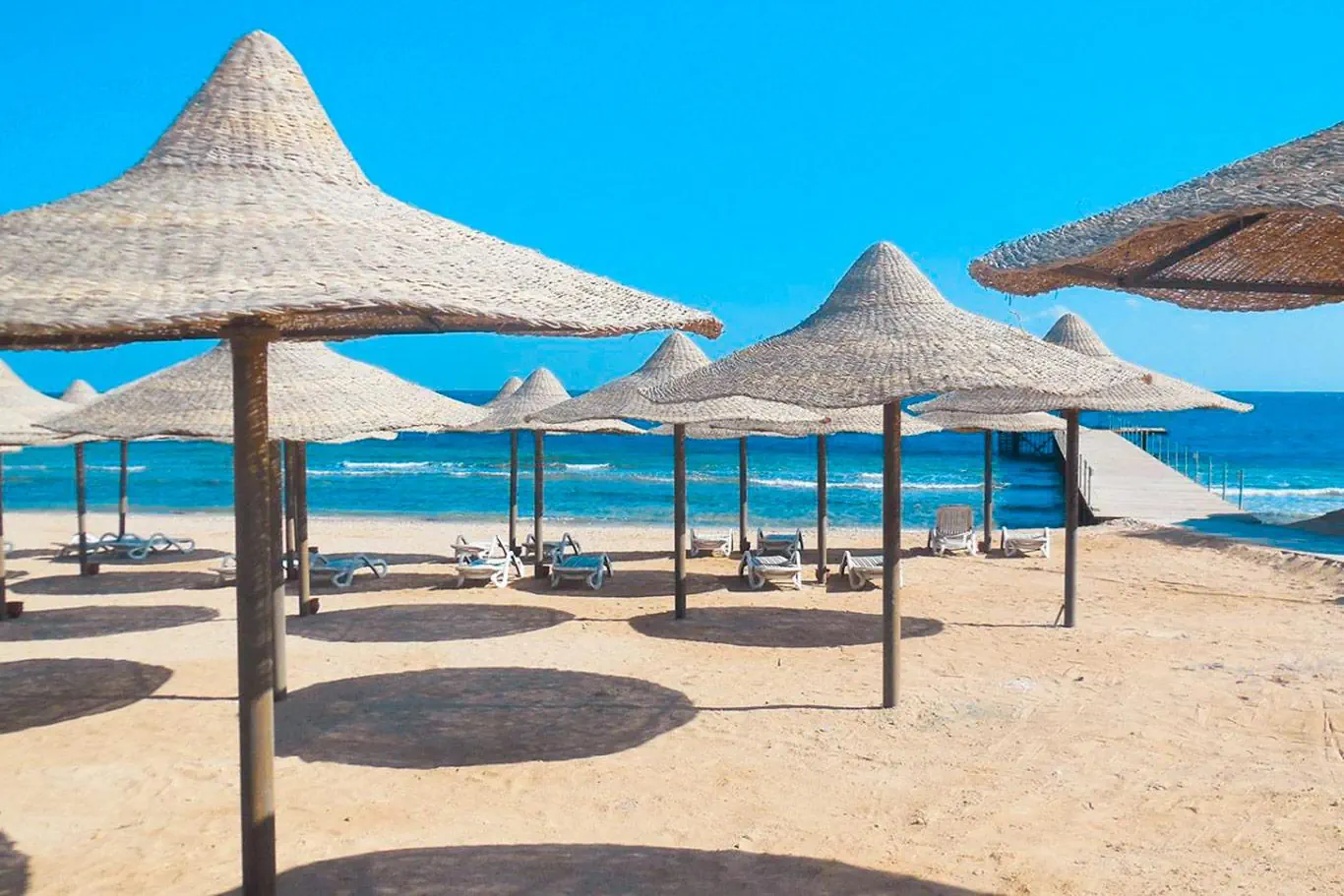 Viva Blue Resort & Diving Sports - zdjęcie 5