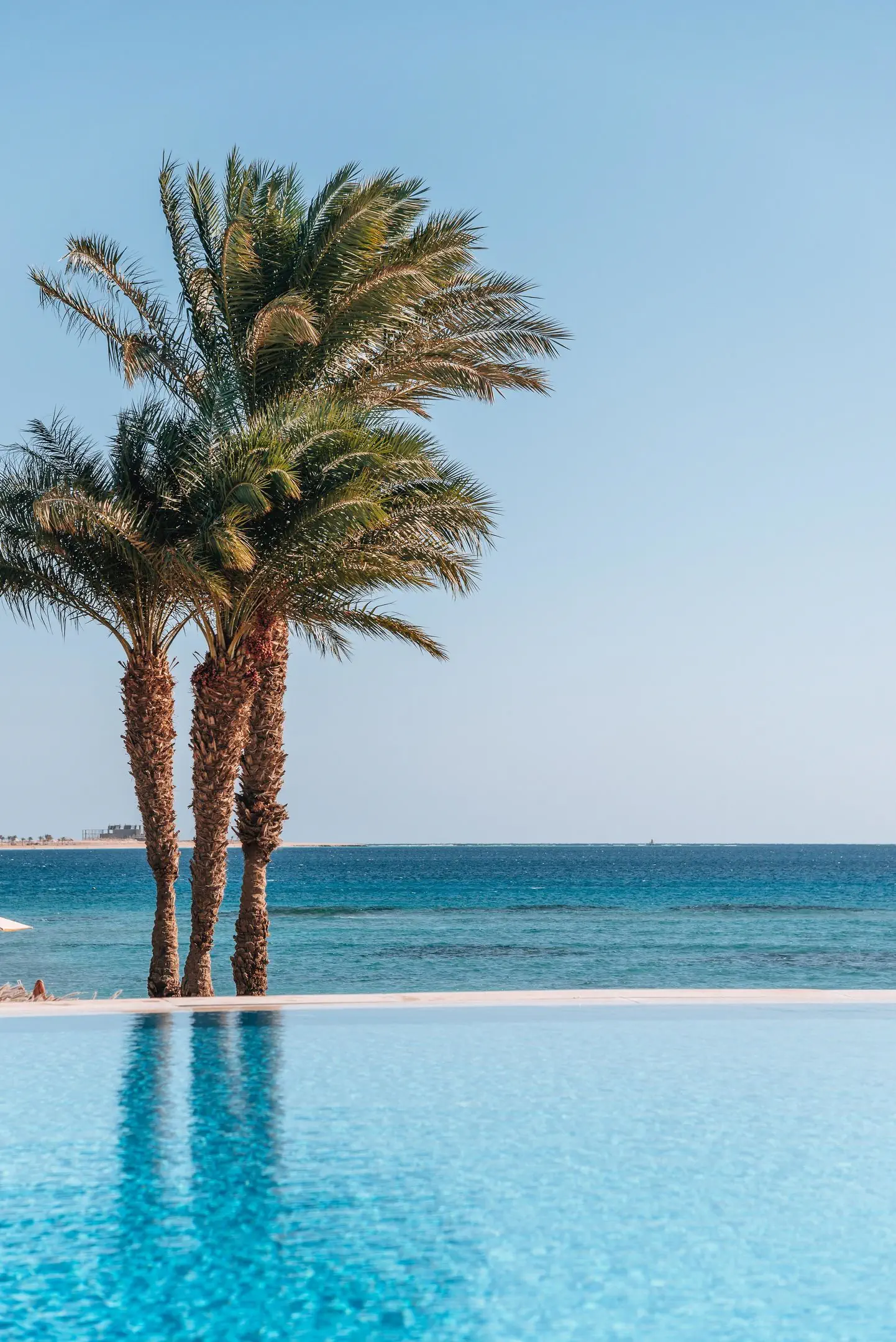 Baron Palace Resort (Sahl Hasheesh) - zdjęcie 22